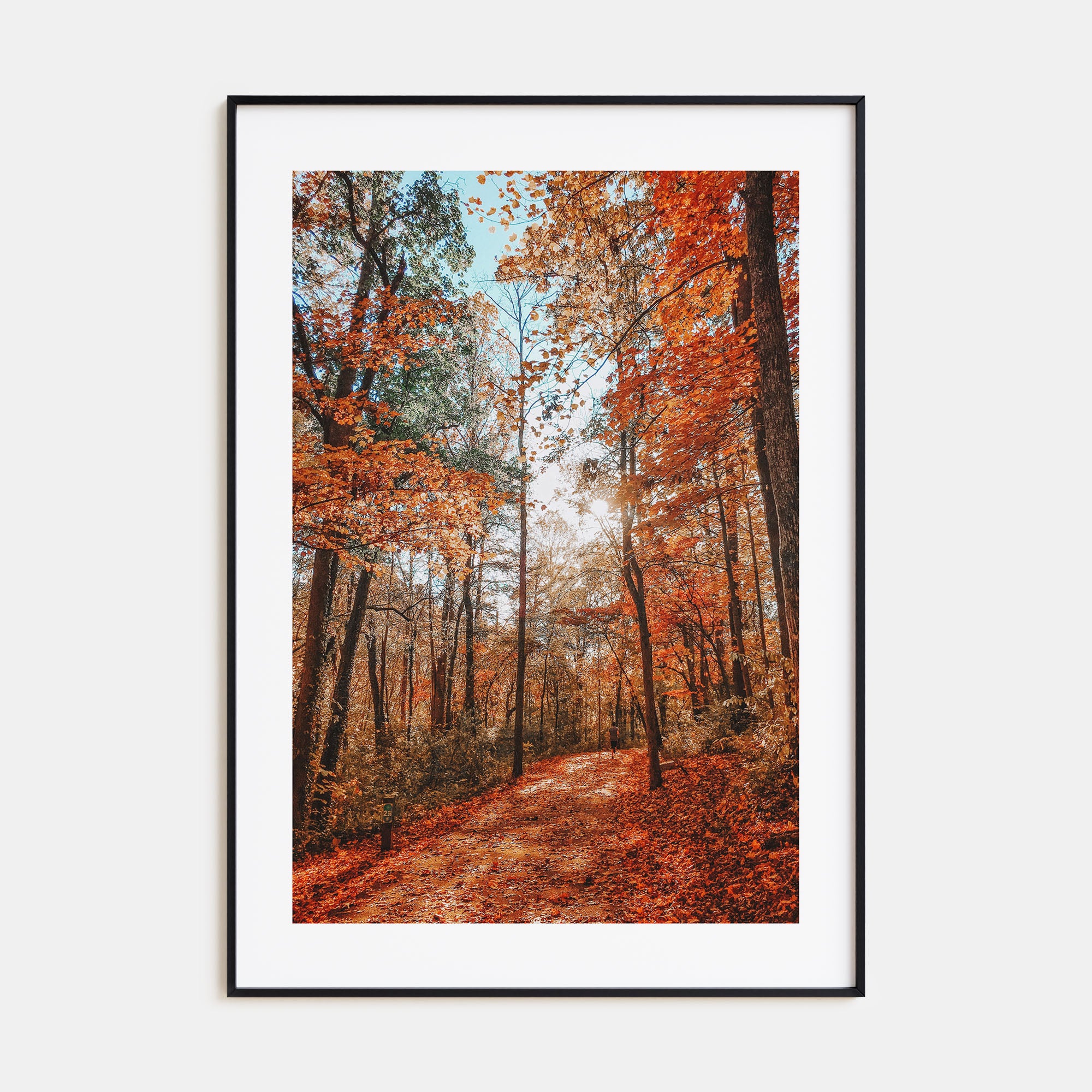 Knoxville Photo Color No 3 Poster