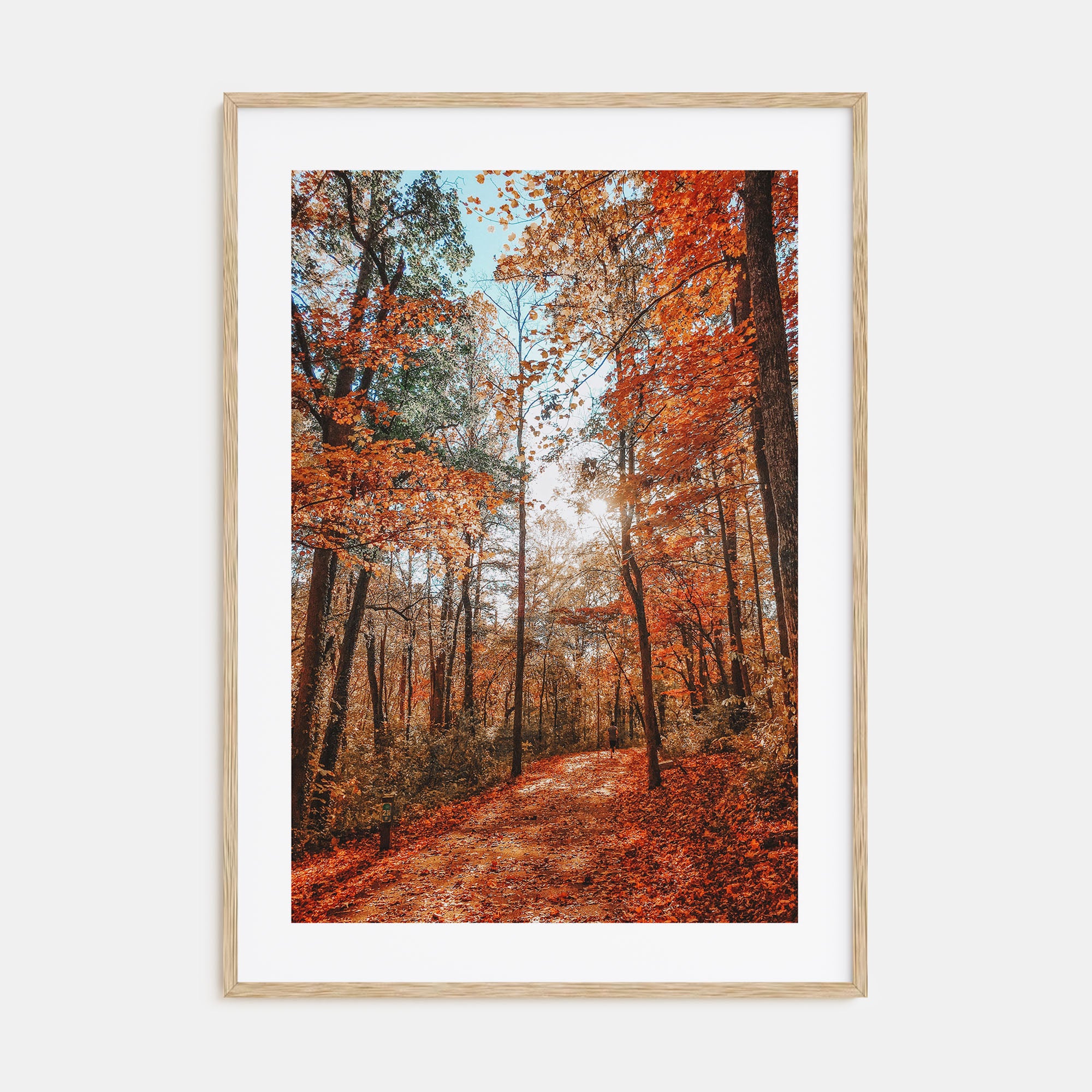 Knoxville Photo Color No 3 Poster