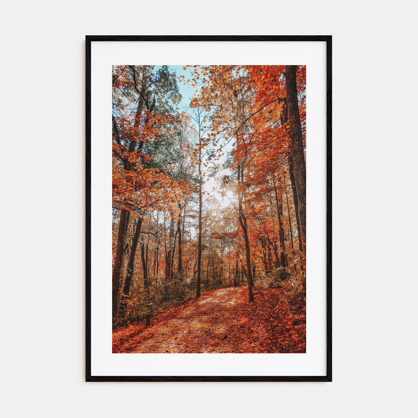 Knoxville Photo Color No 3 Poster