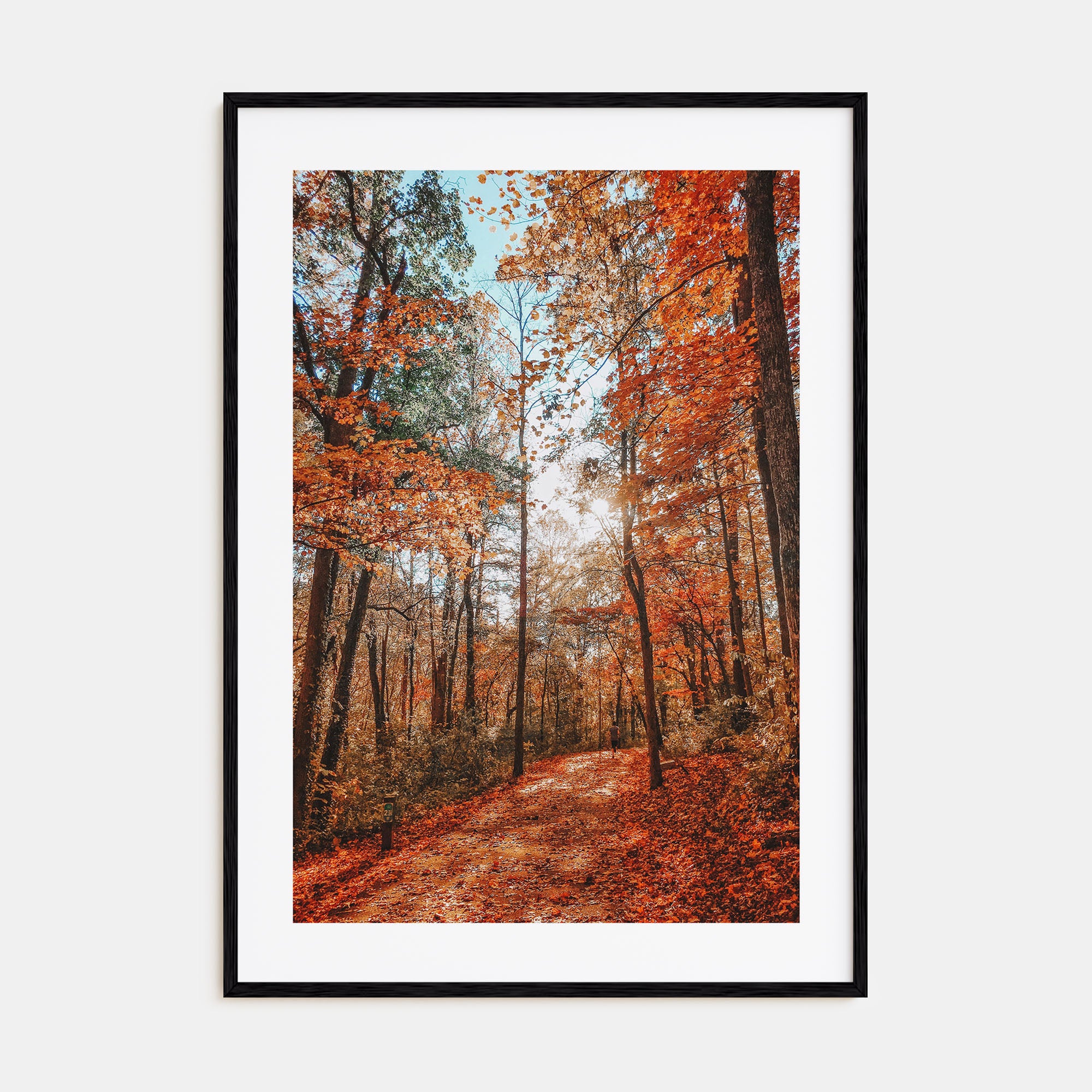 Knoxville Photo Color No 3 Poster