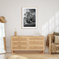 Koala Photo B&W No 2 Poster