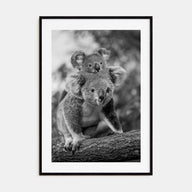 Koala Photo B&W No 2 Poster