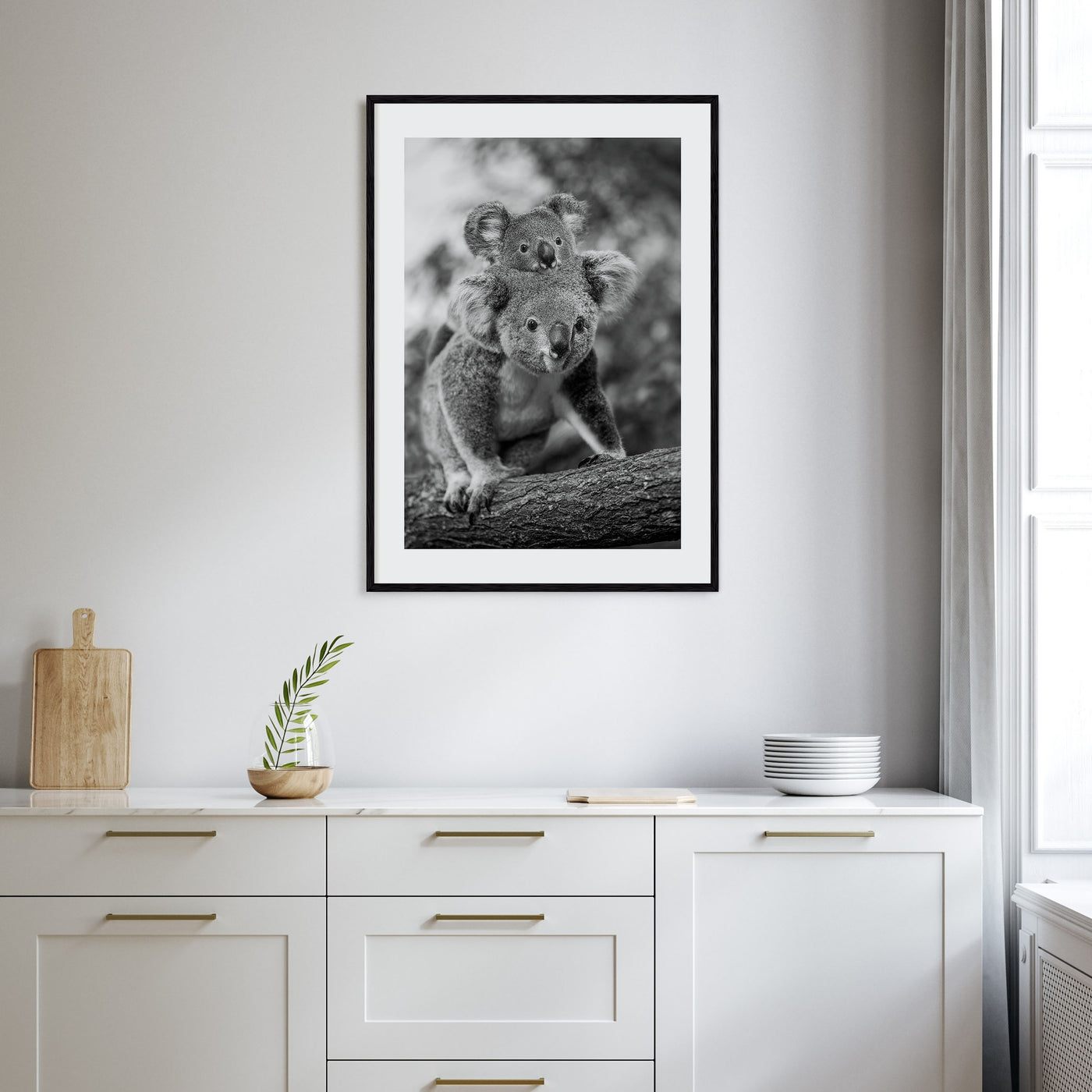 Koala Photo B&W No 2 Poster