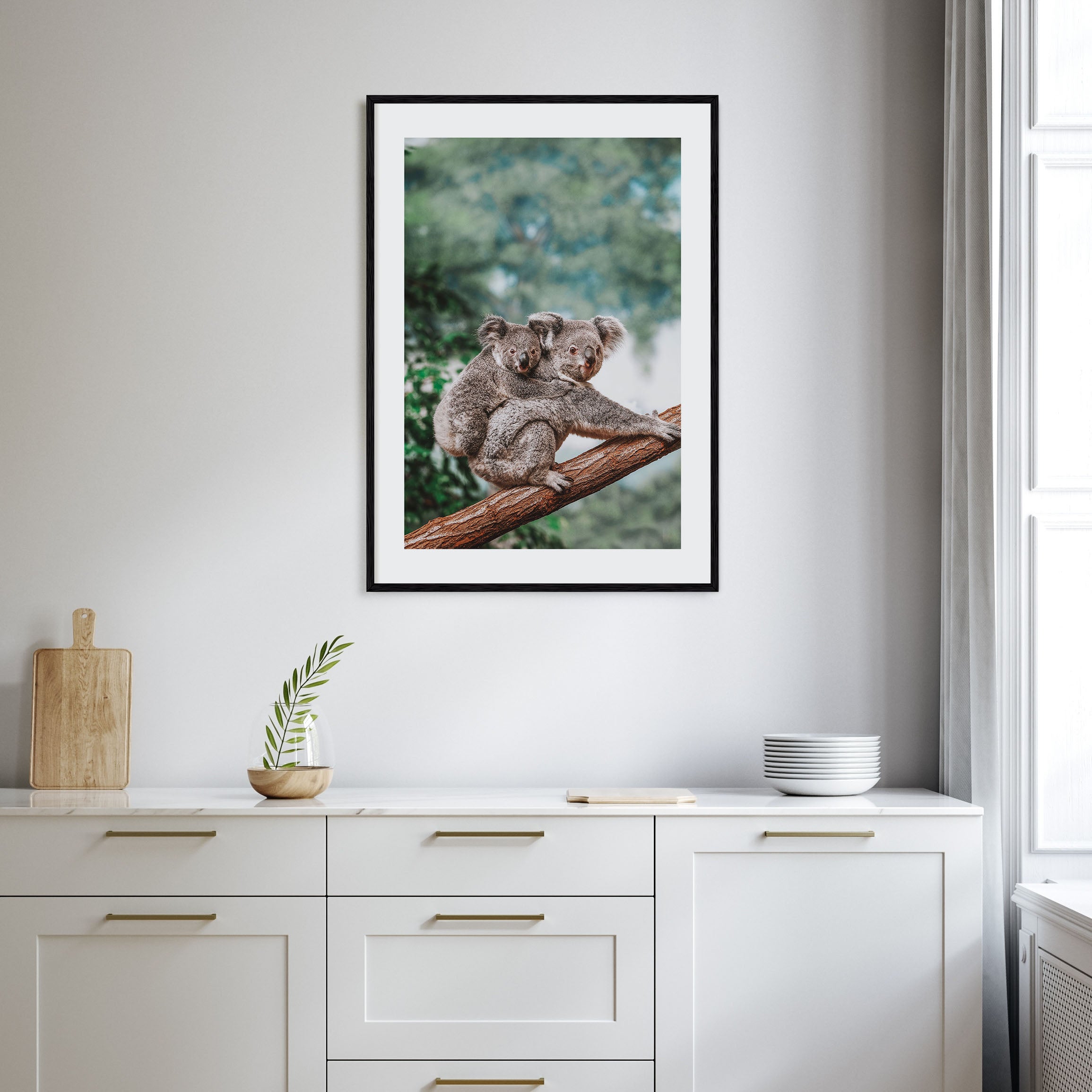 Koala Photo Color Poster
