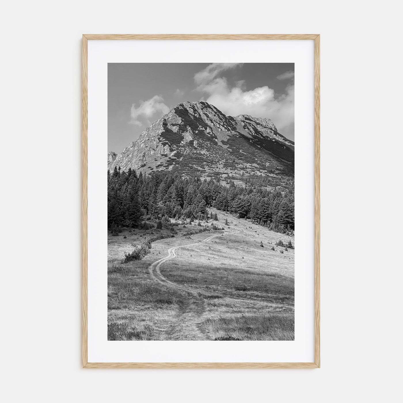 Kosovo Photo B&W Poster