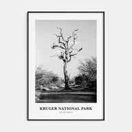 Kruger National Park Portrait B&W Poster
