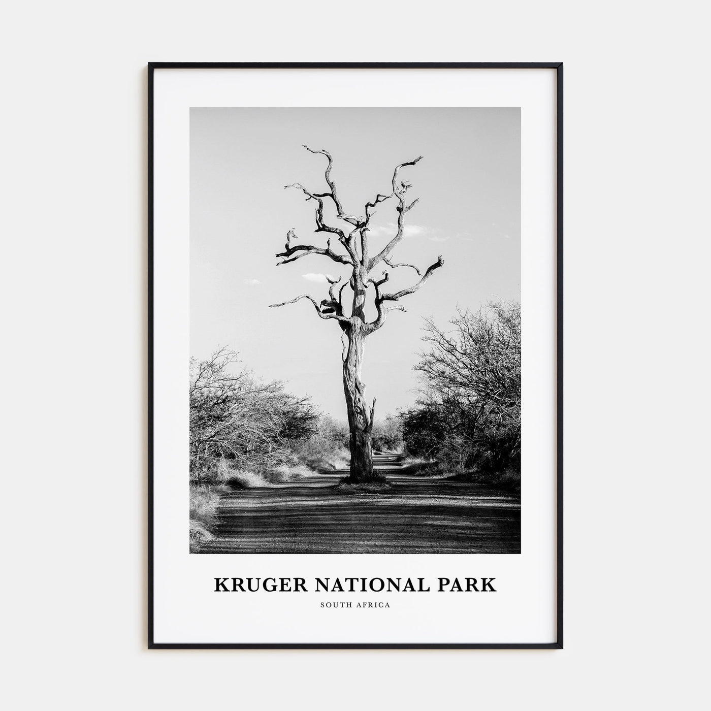 Kruger National Park Portrait B&W Poster