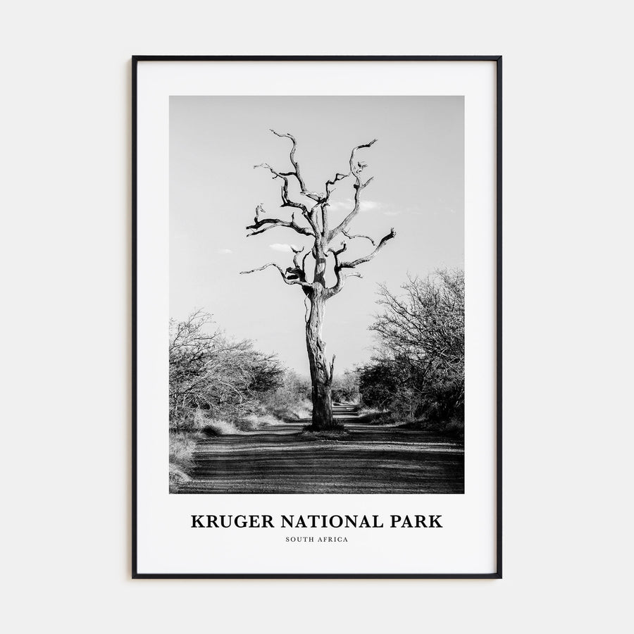 Kruger National Park Portrait B&W Poster
