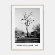 Kruger National Park Portrait B&W Poster