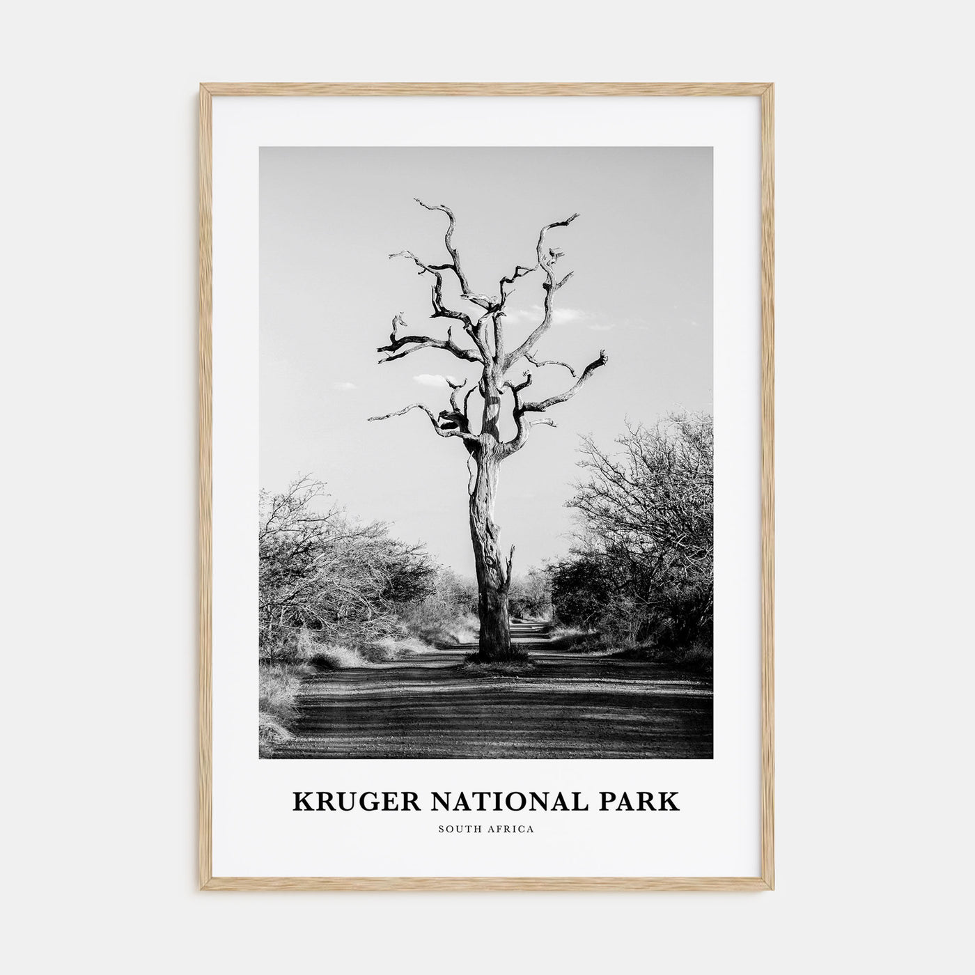 Kruger National Park Portrait B&W Poster