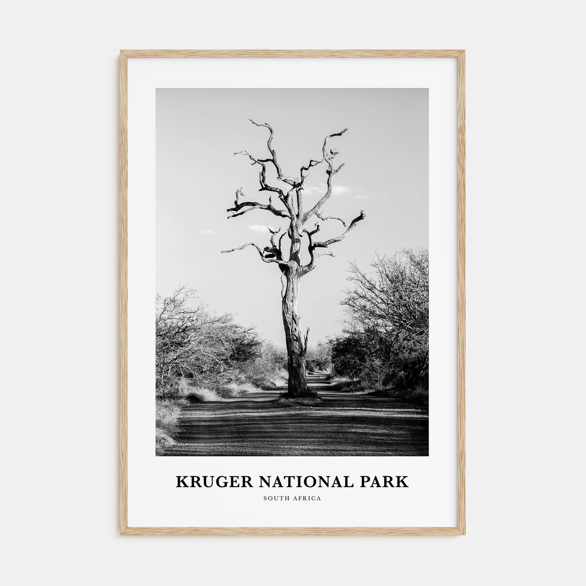 Kruger National Park Portrait B&W Poster