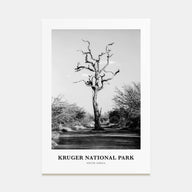 Kruger National Park Portrait B&W Poster