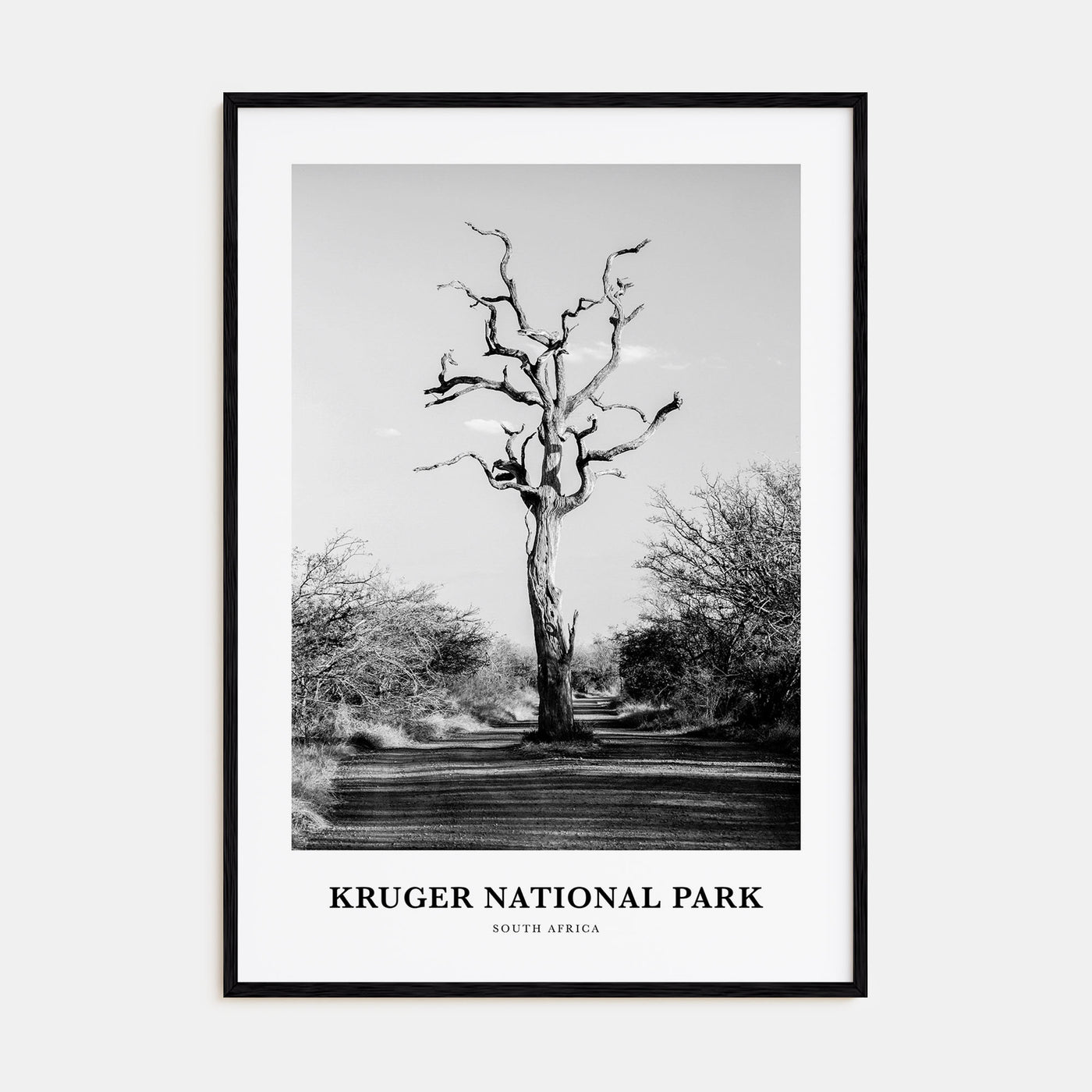 Kruger National Park Portrait B&W Poster