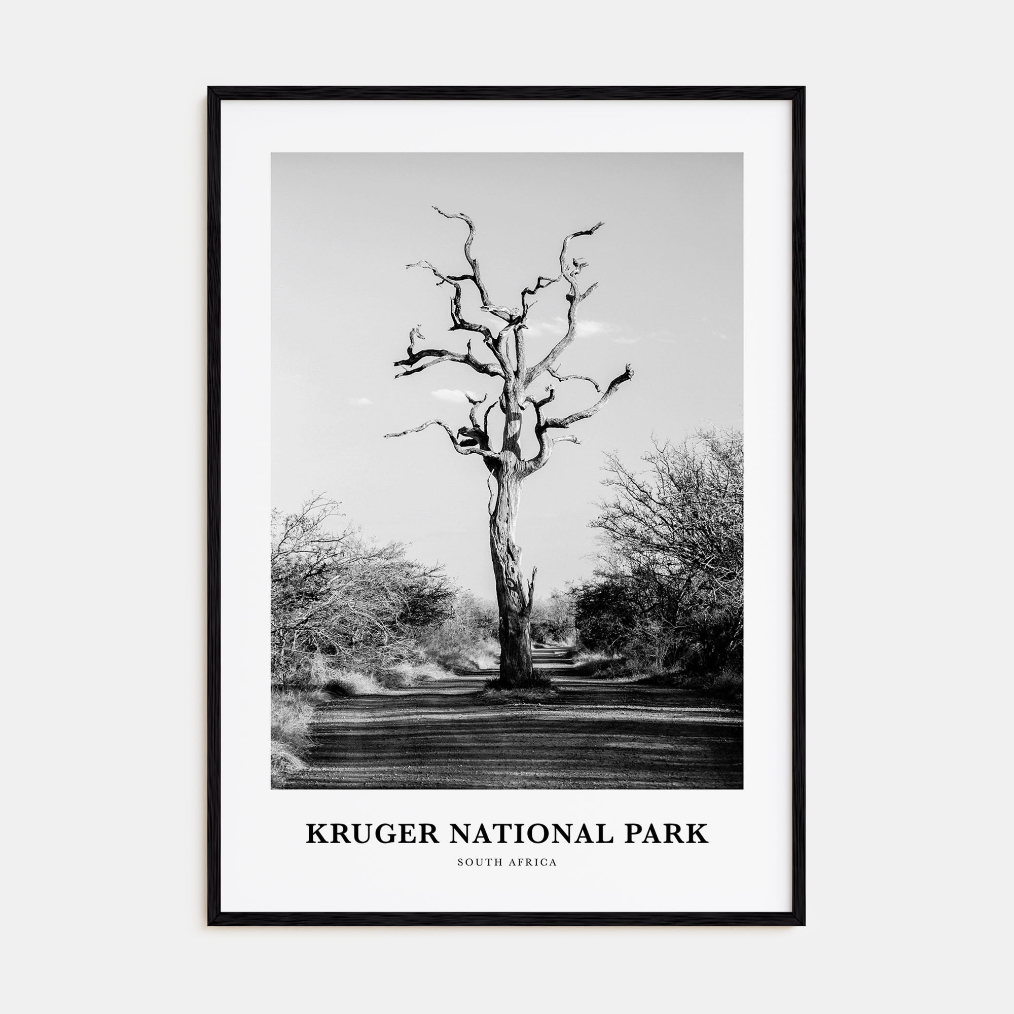 Kruger National Park Portrait B&W Poster