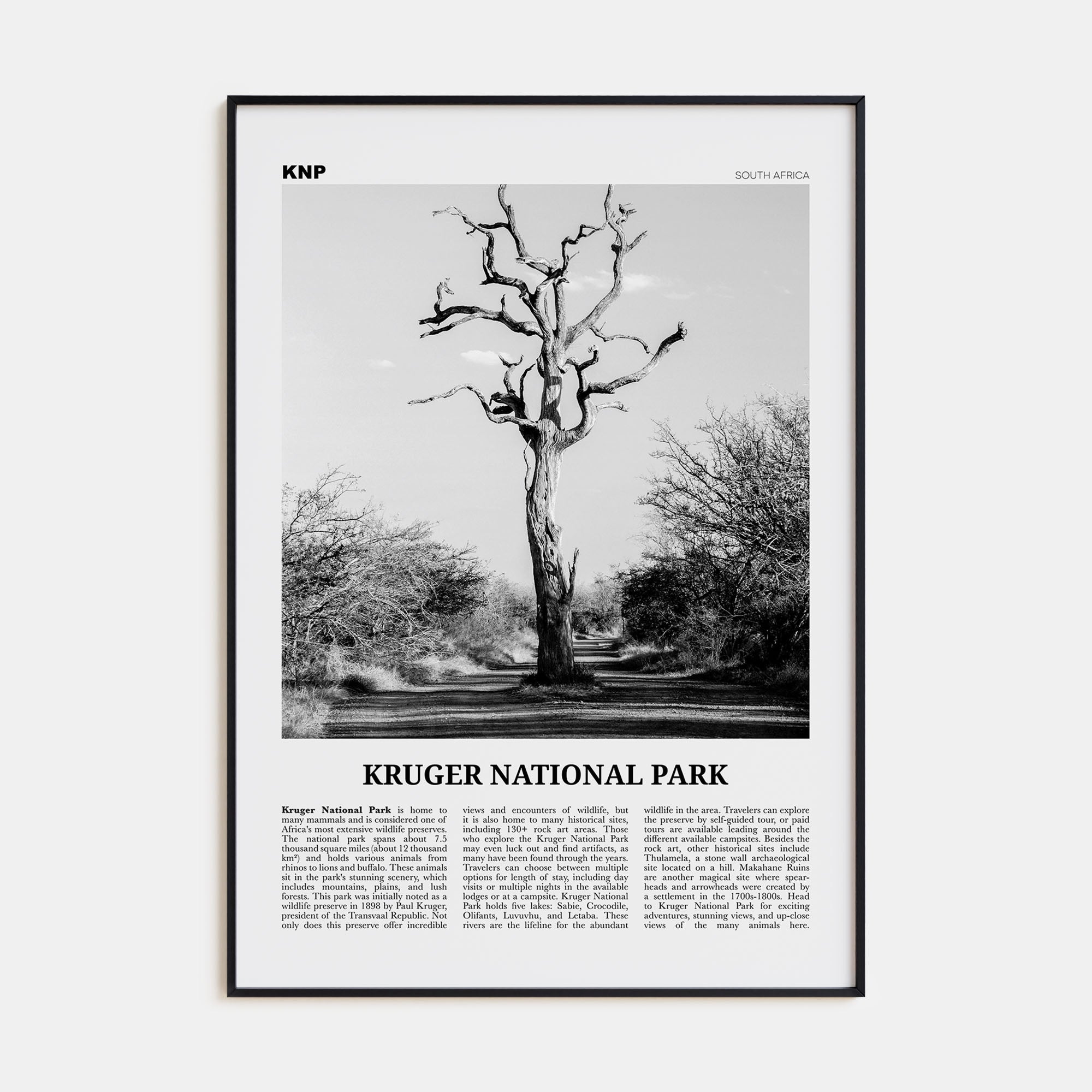 Kruger National Park Travel B&W Poster