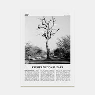 Kruger National Park Travel B&W Poster