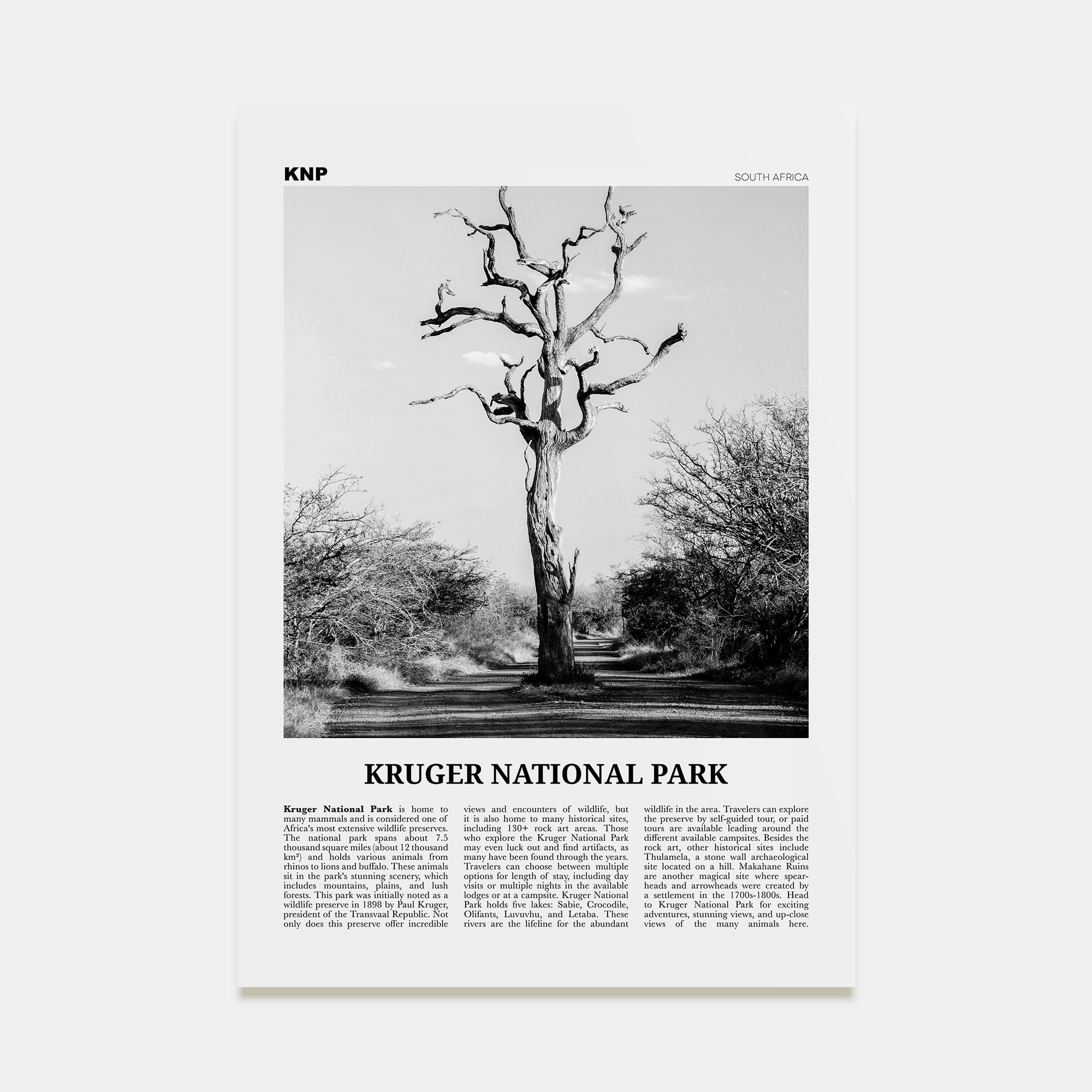 Kruger National Park Travel B&W Poster