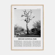 Kruger National Park Travel B&W Poster