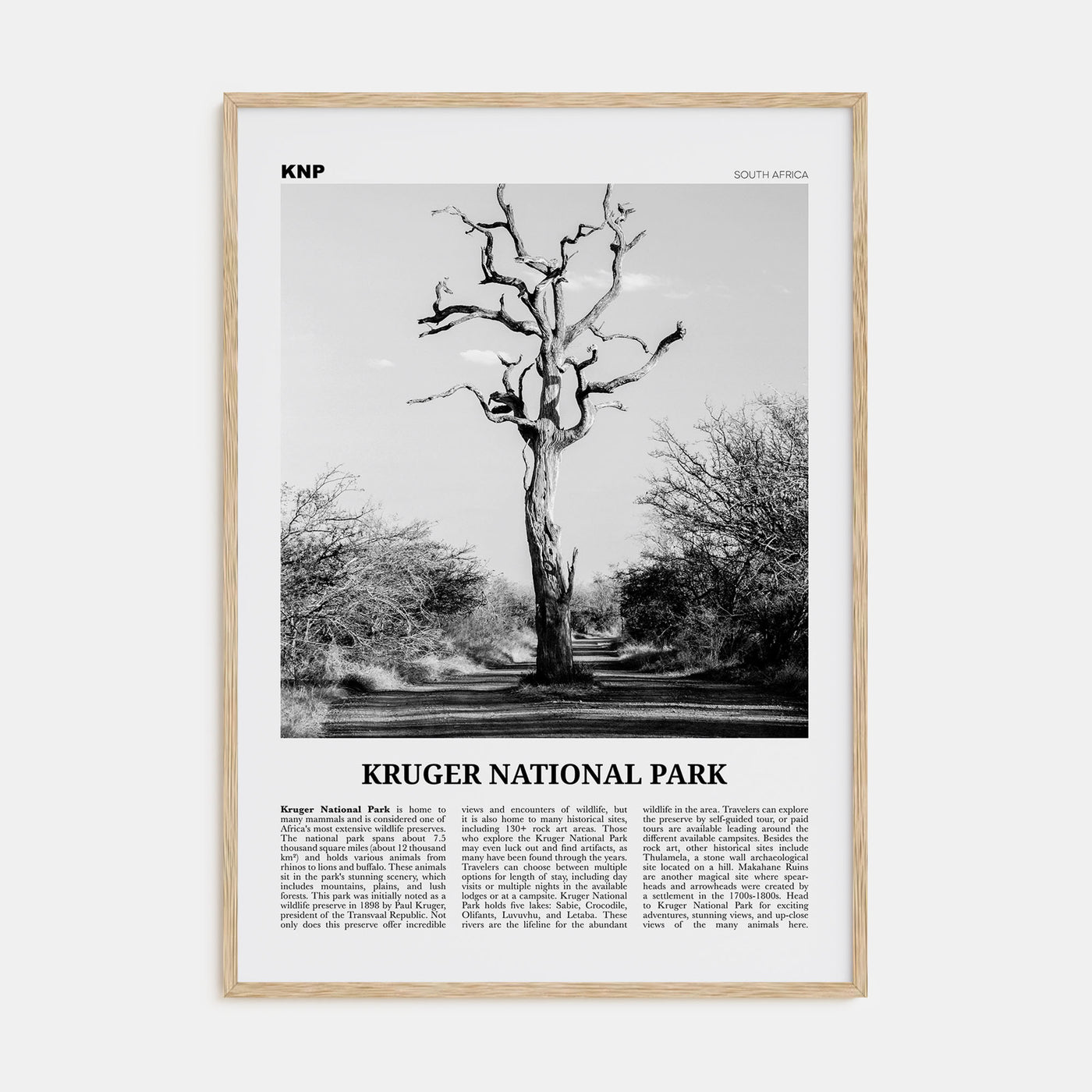 Kruger National Park Travel B&W Poster