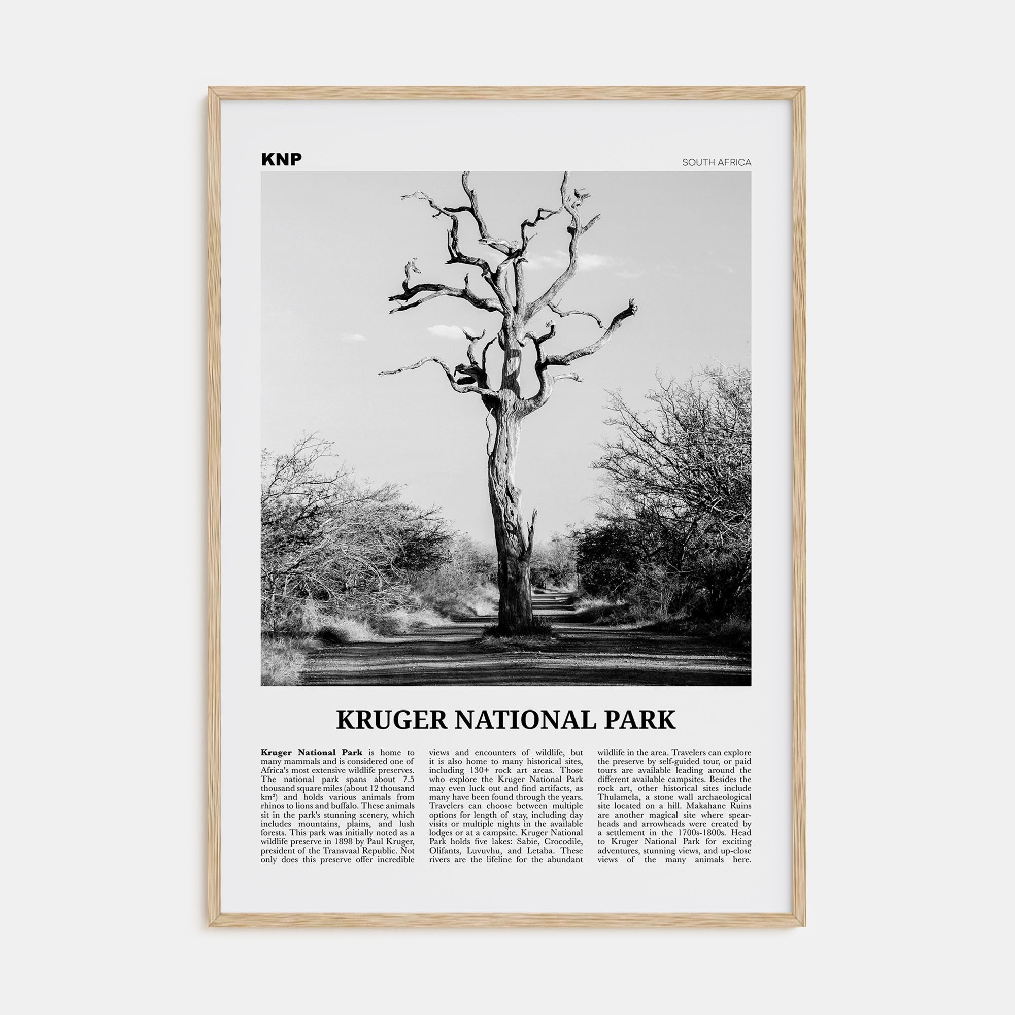 Kruger National Park Travel B&W Poster