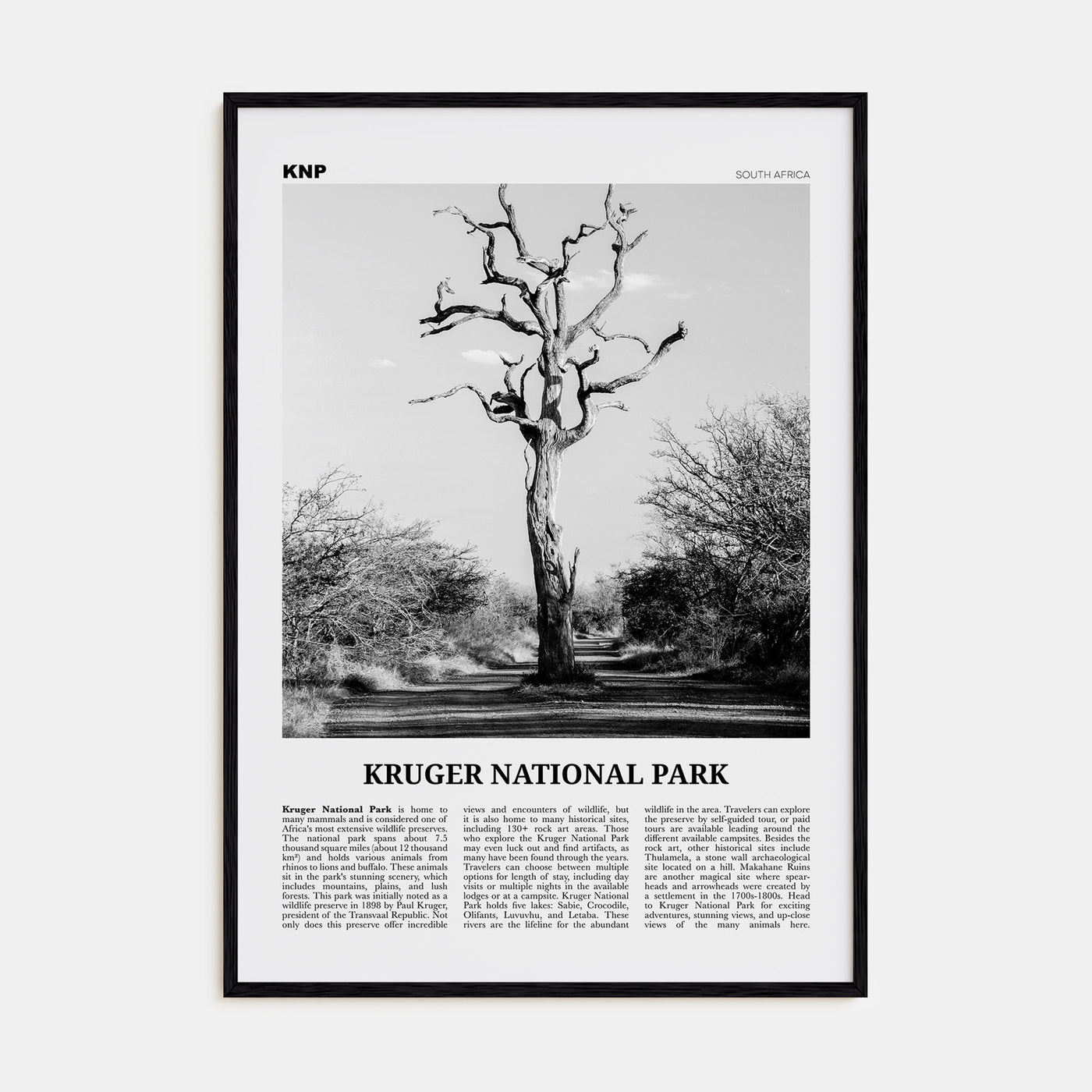 Kruger National Park Travel B&W Poster