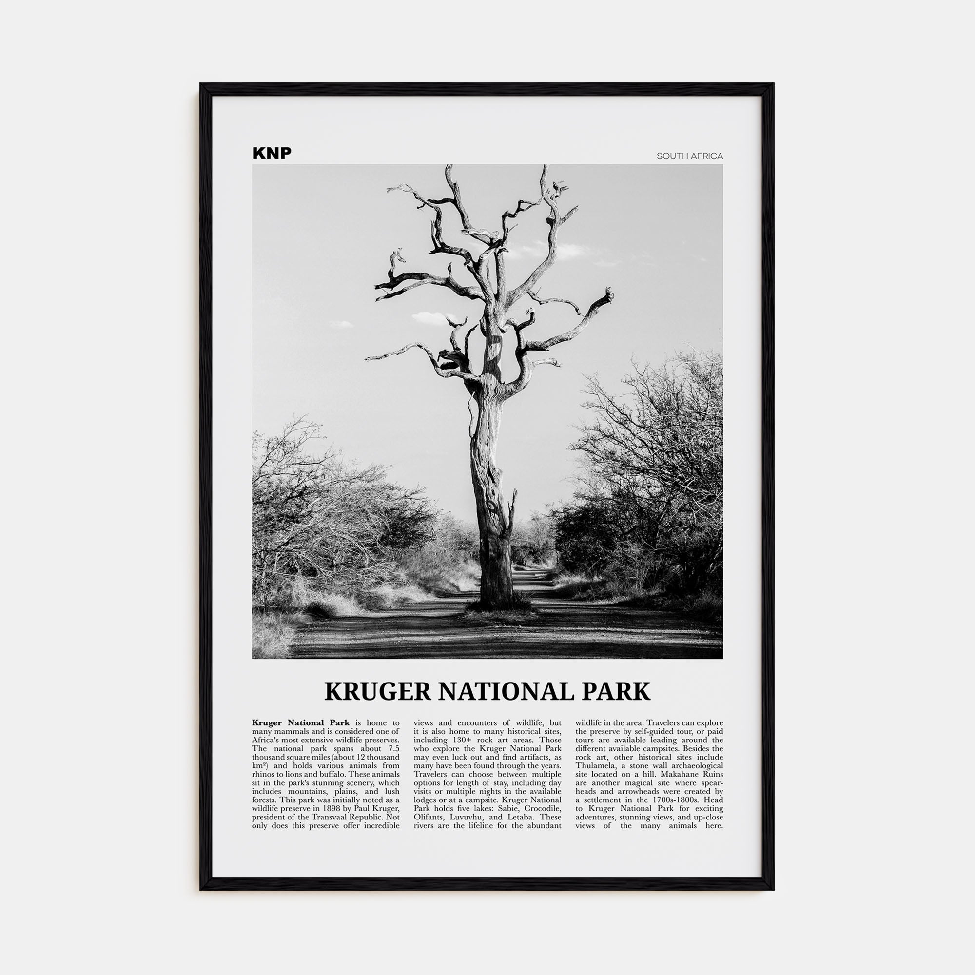 Kruger National Park Travel B&W Poster