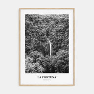 La Fortuna Portrait B&W Poster