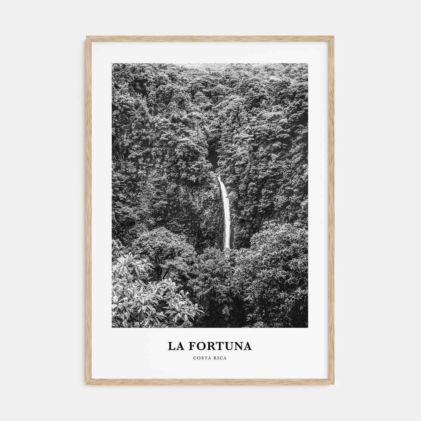 La Fortuna Portrait B&W Poster