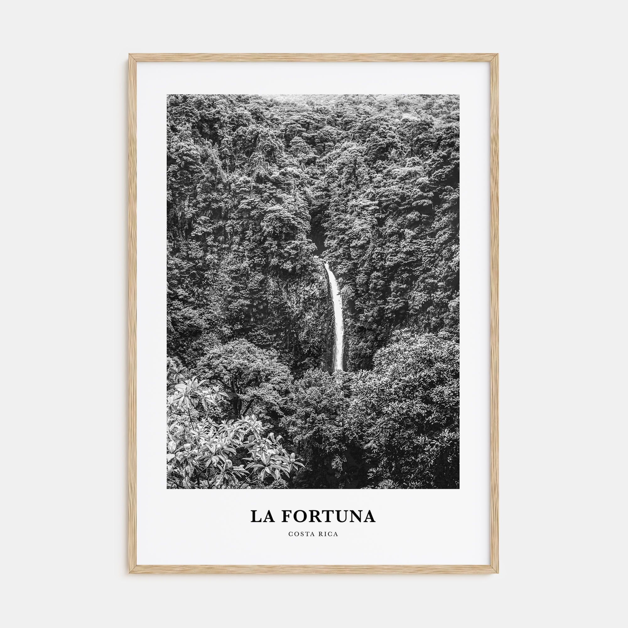 La Fortuna Portrait B&W Poster