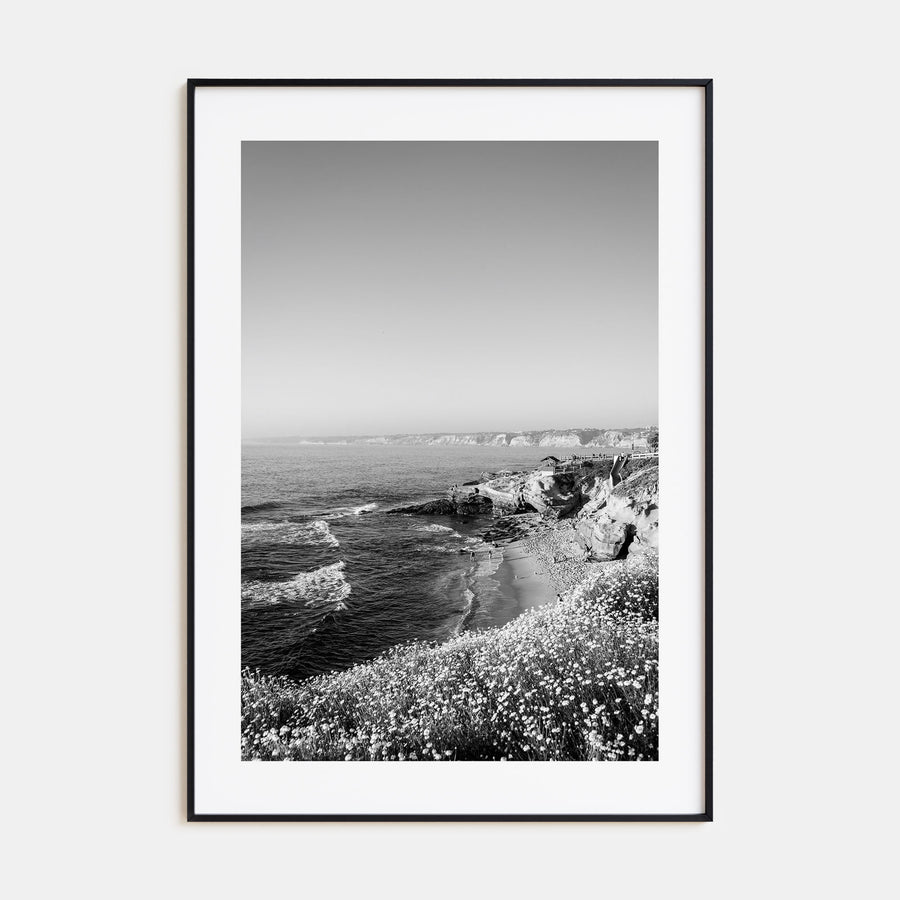 La Jolla Photo B&W No 2 Poster