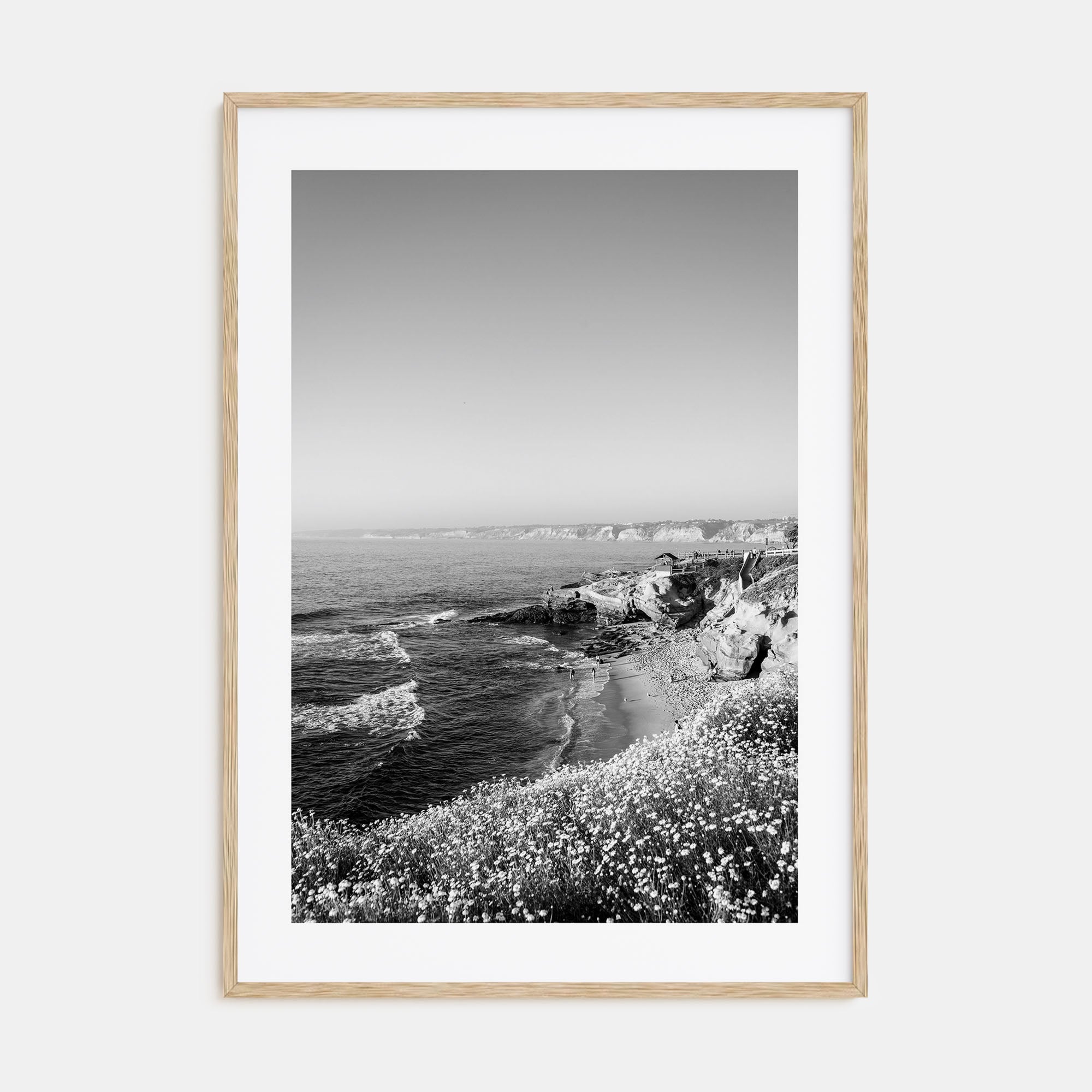 La Jolla Photo B&W No 2 Poster