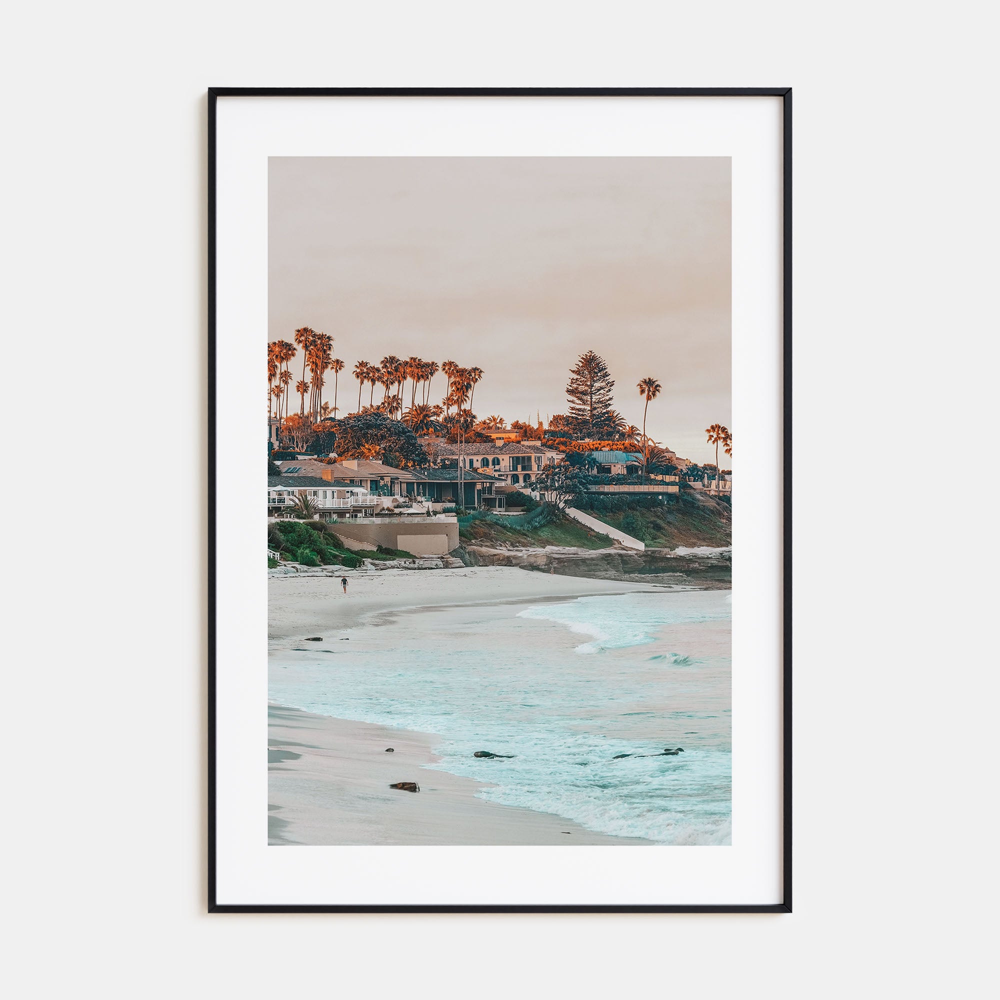 La Jolla Photo Color No 1 Poster