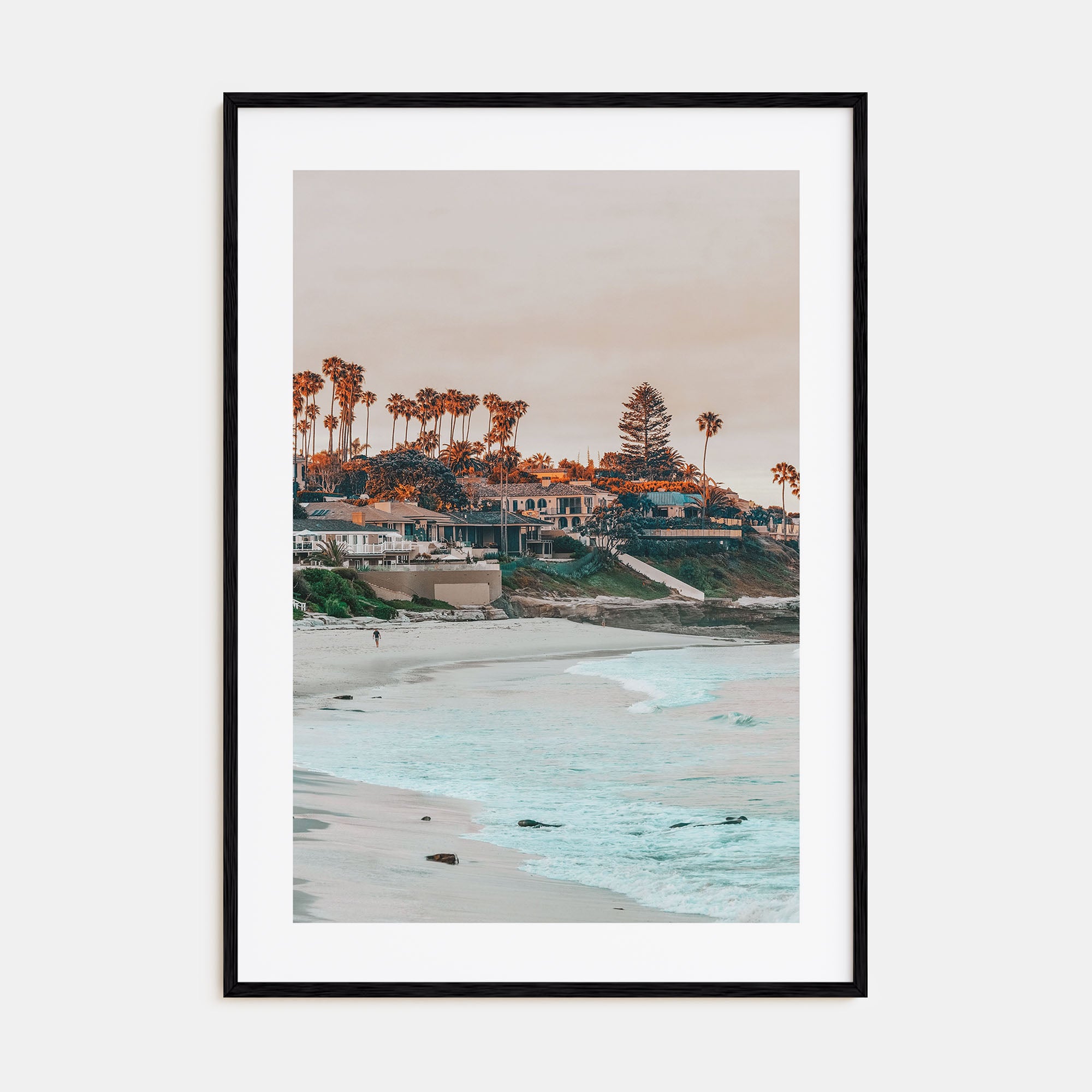 La Jolla Photo Color No 1 Poster