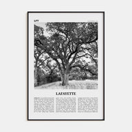 Lafayette, California Travel B&W Poster