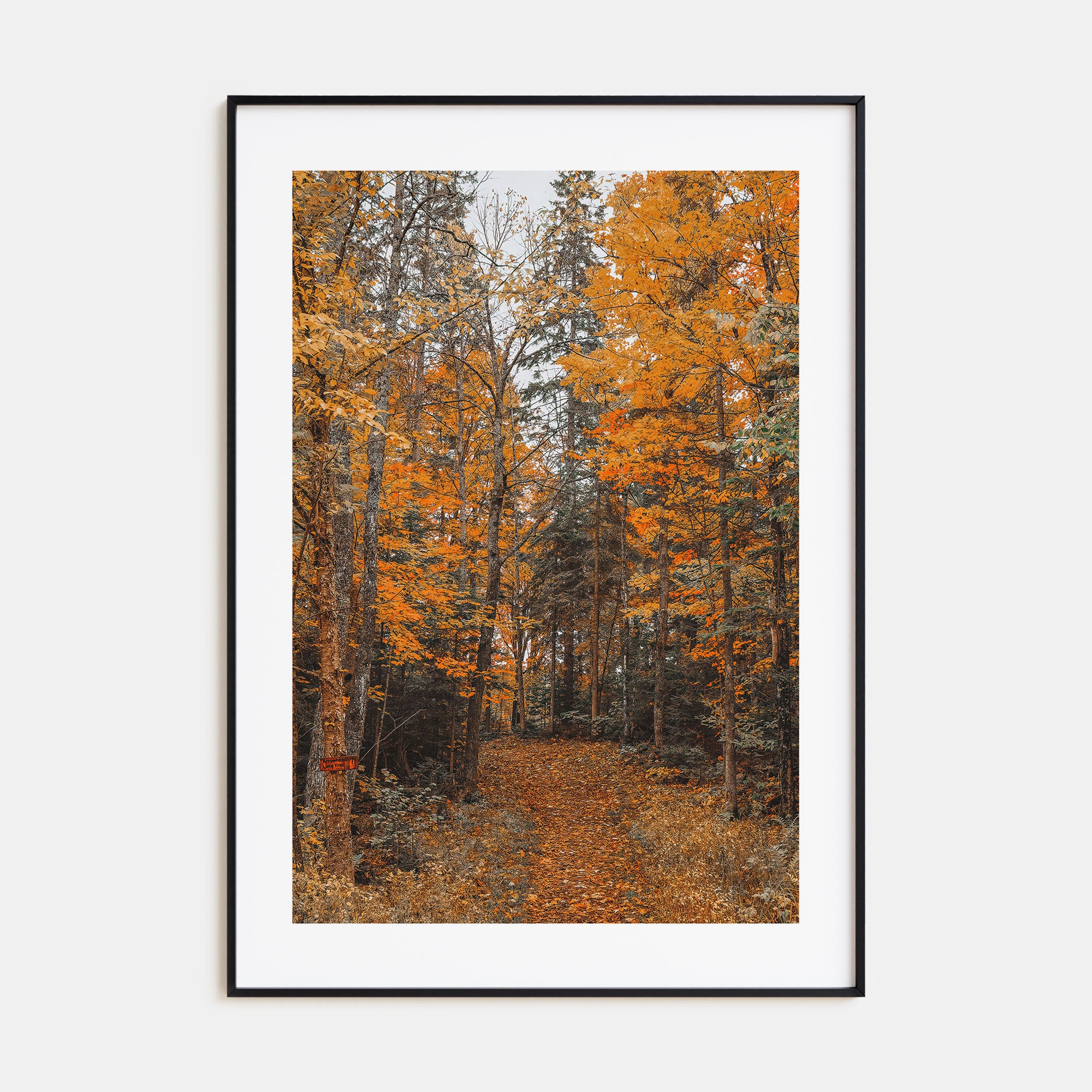 Lake Arrowhead Photo Color No 2 Poster