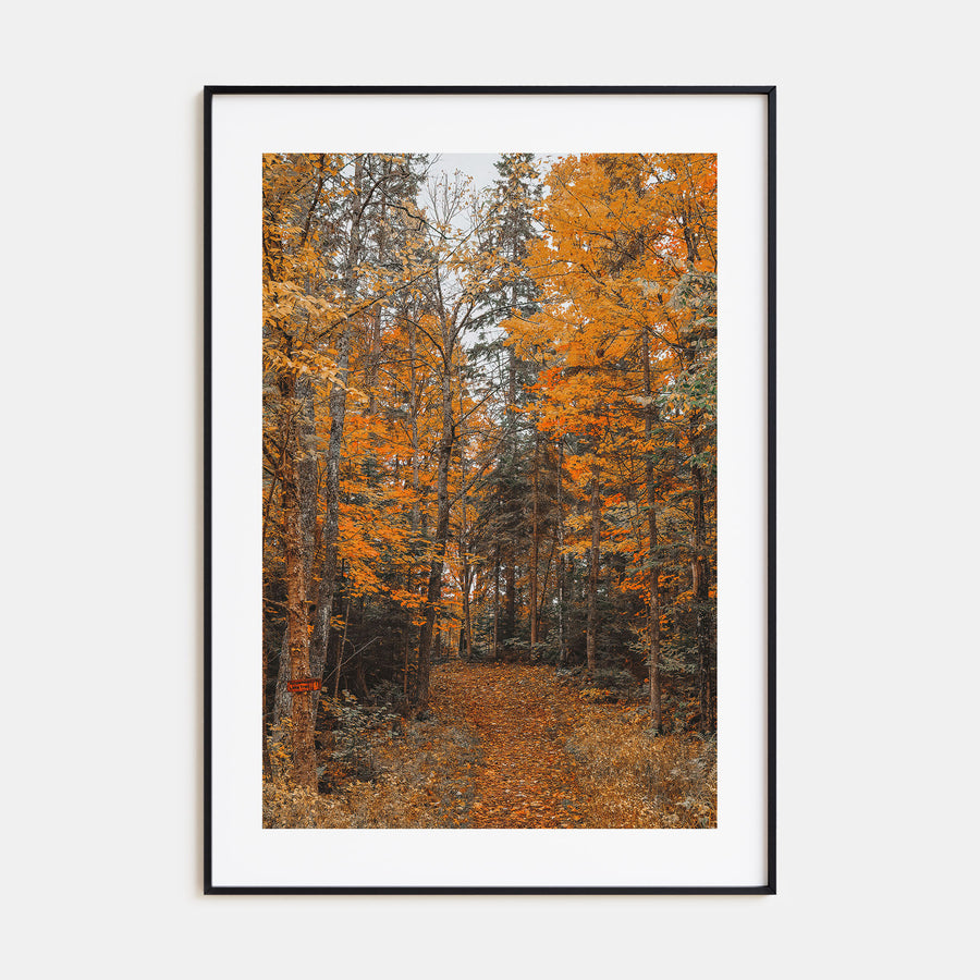 Lake Arrowhead Photo Color No 2 Poster