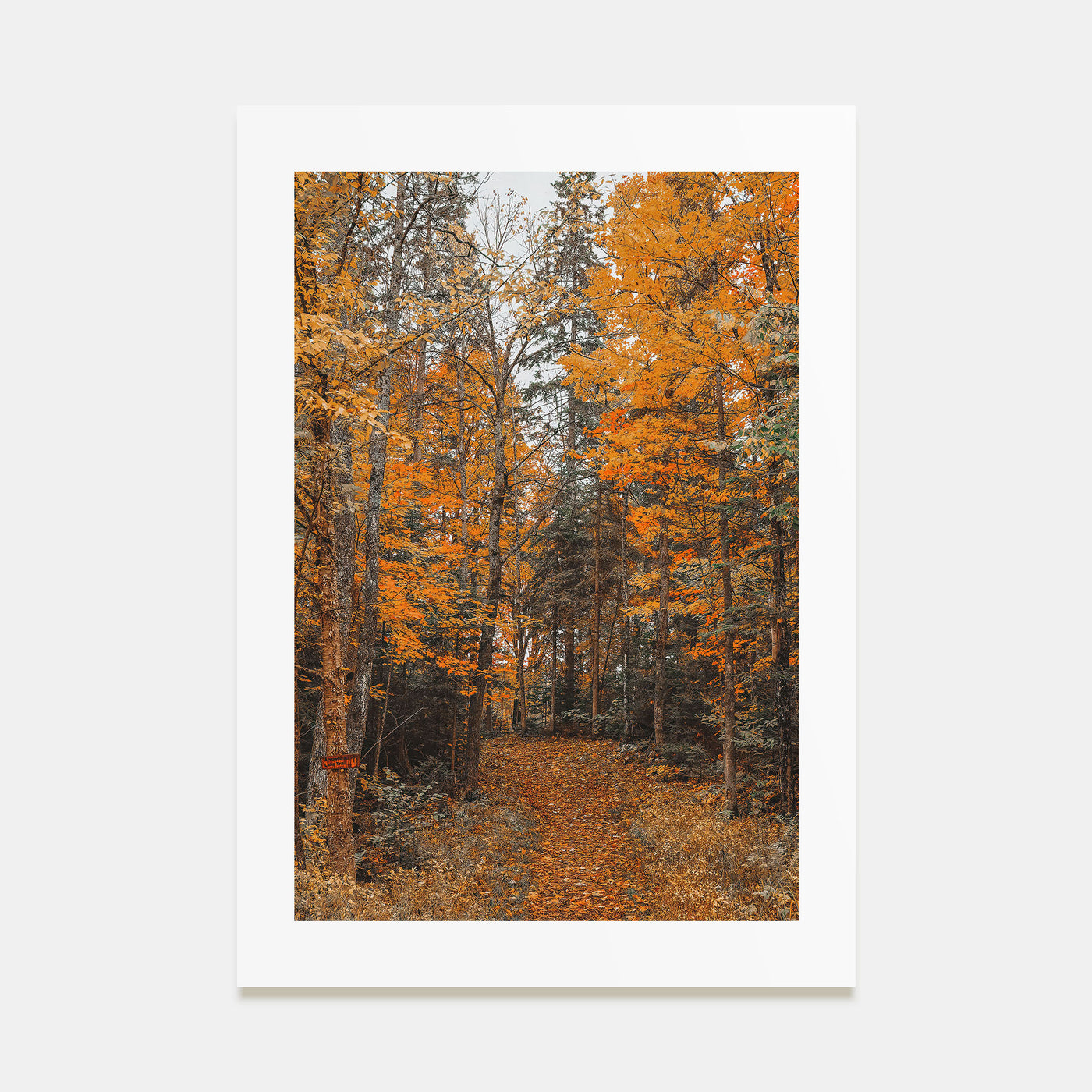 Lake Arrowhead Photo Color No 2 Poster