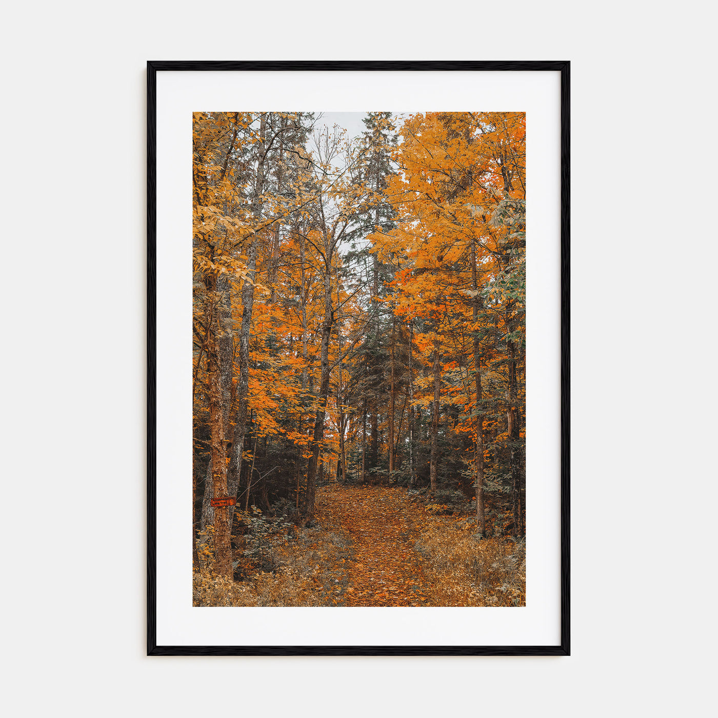 Lake Arrowhead Photo Color No 2 Poster