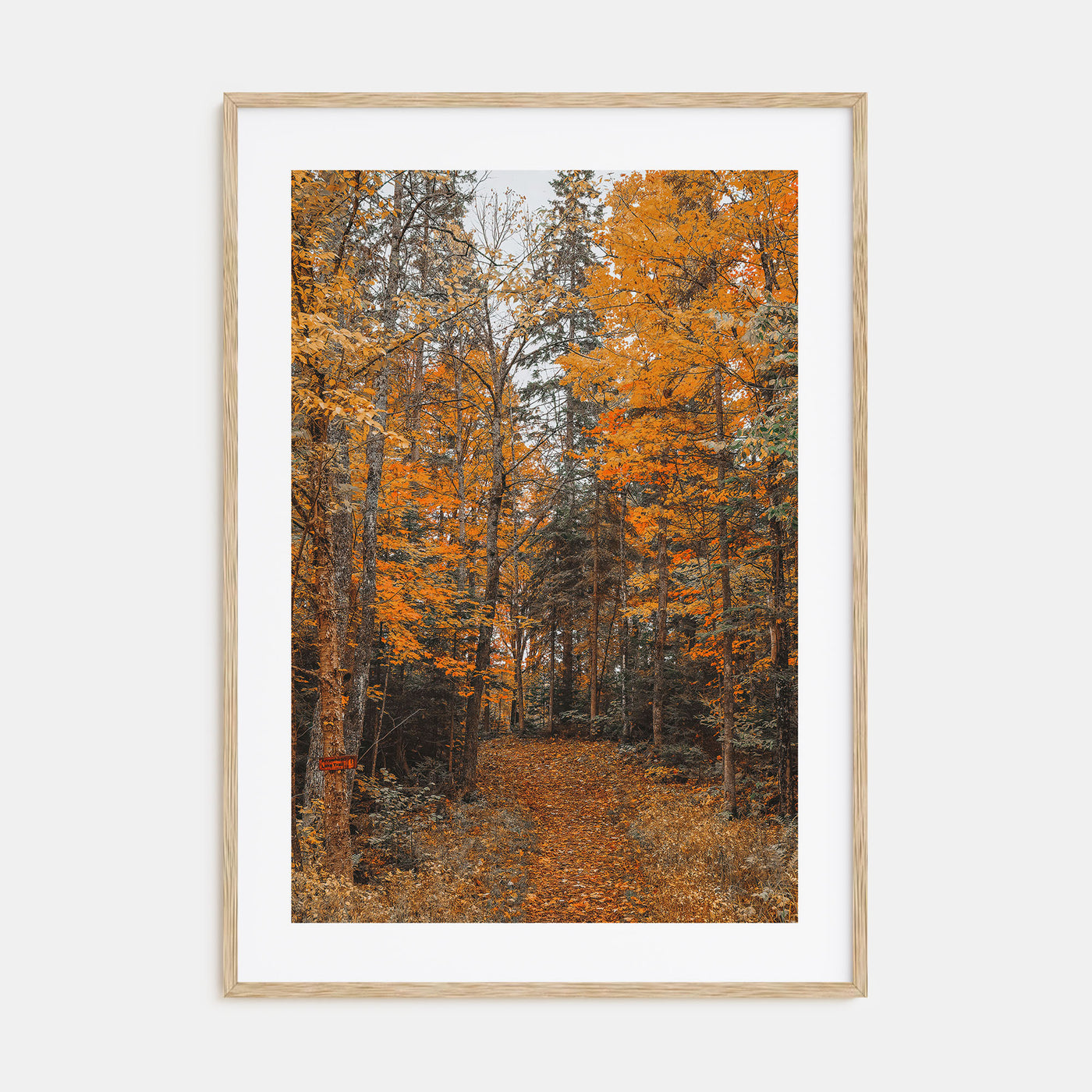 Lake Arrowhead Photo Color No 2 Poster
