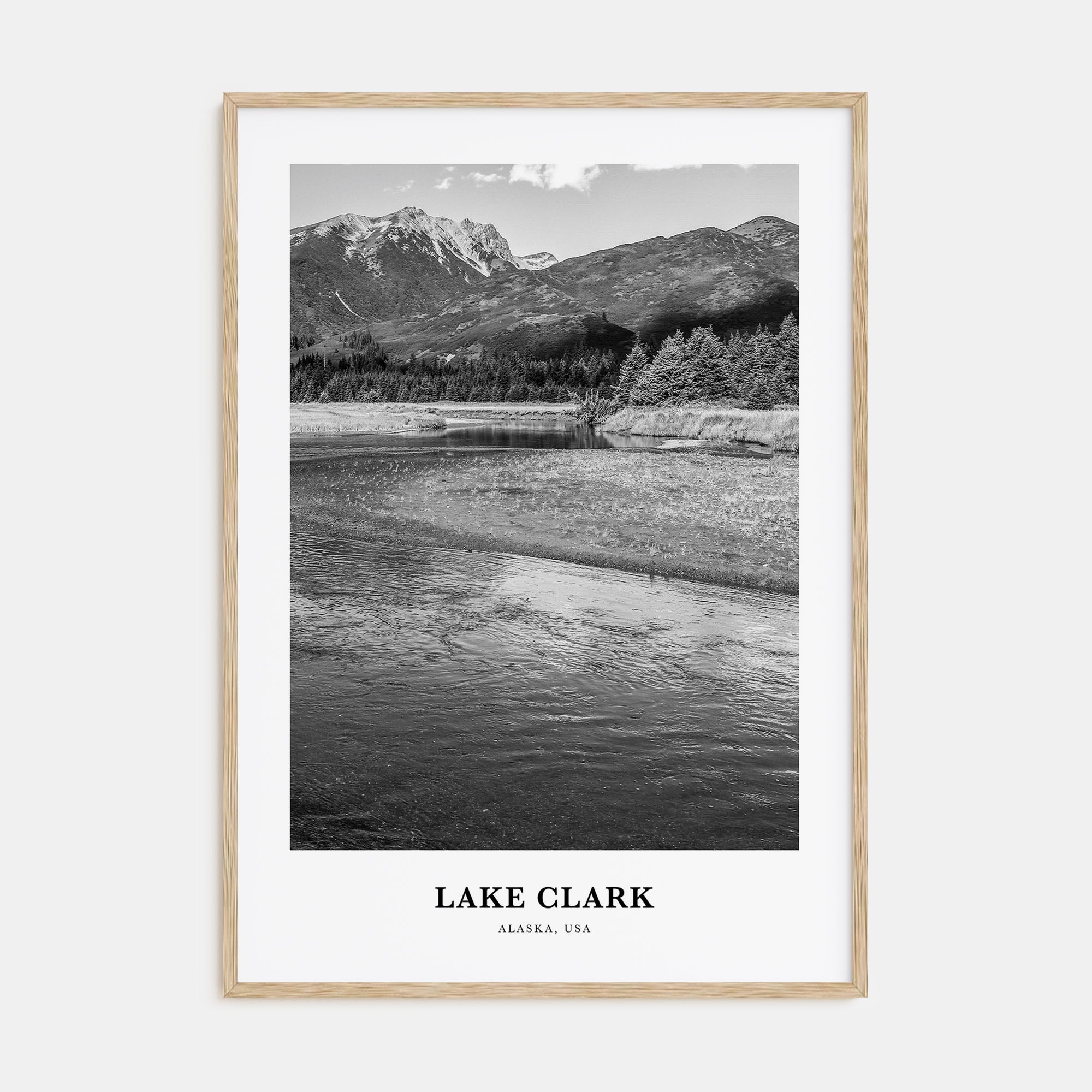 Lake Clark National Park Portrait B&W Poster