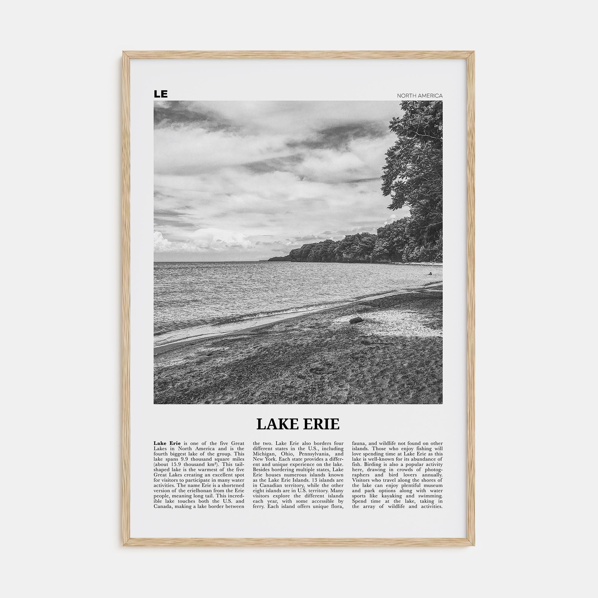 Lake Erie Travel B&W Poster