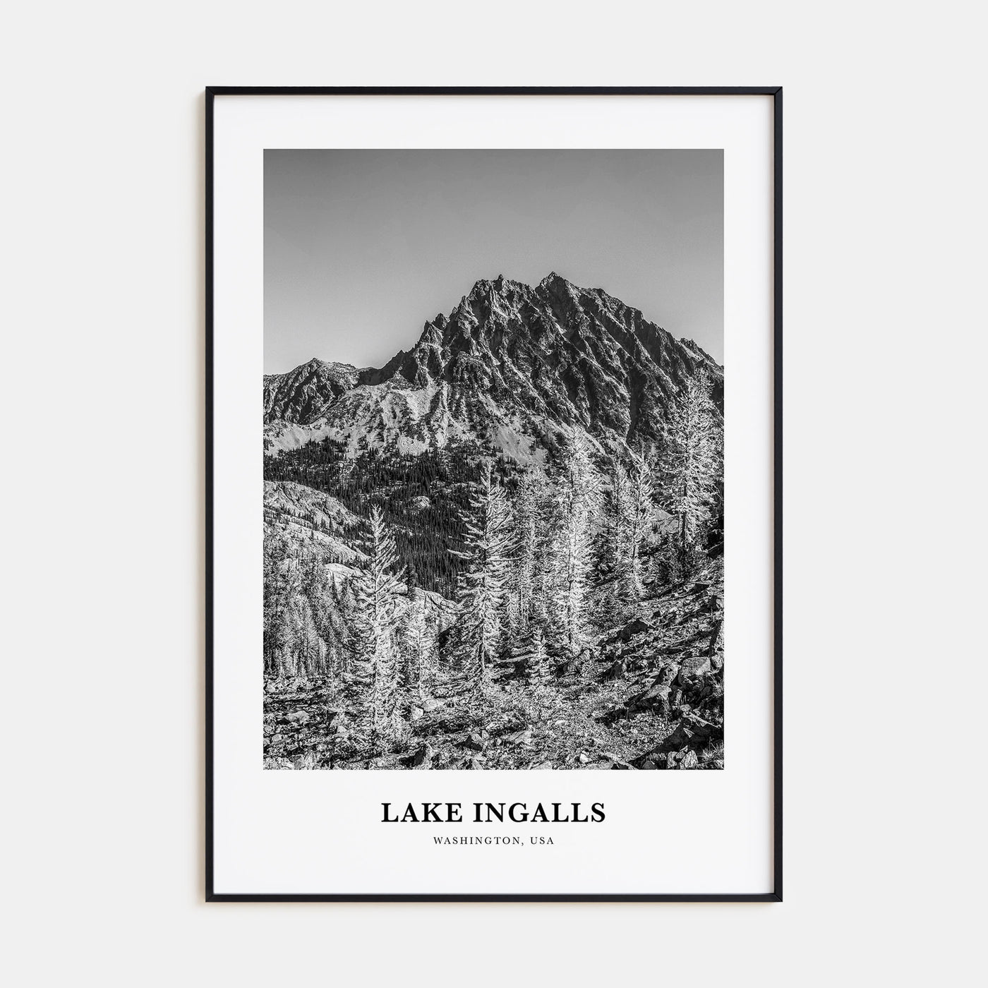 Lake Ingalls Portrait B&W Poster