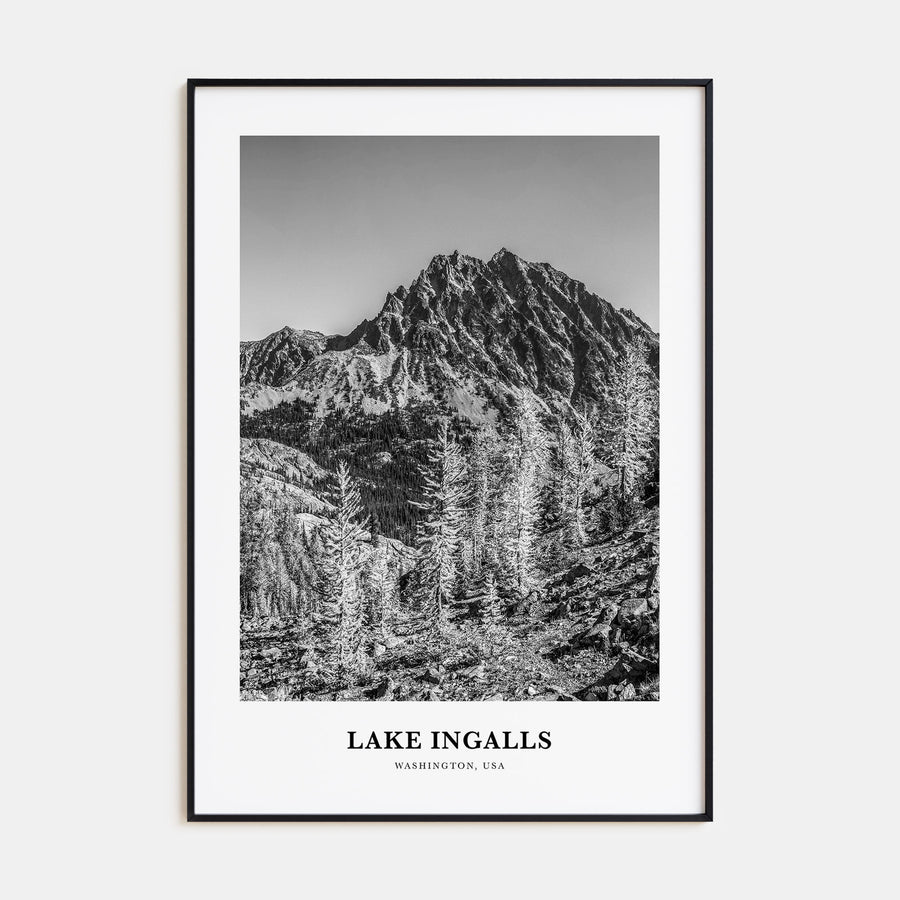 Lake Ingalls Portrait B&W Poster