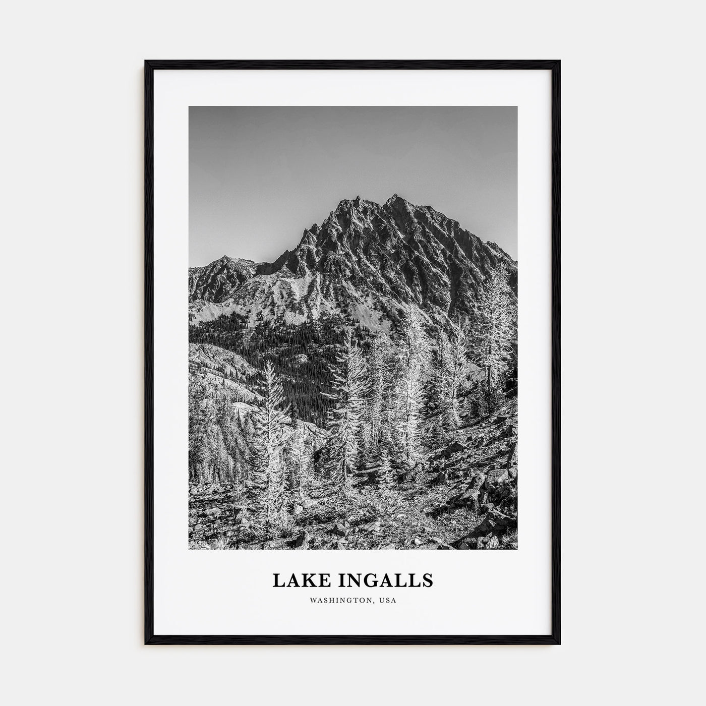 Lake Ingalls Portrait B&W Poster
