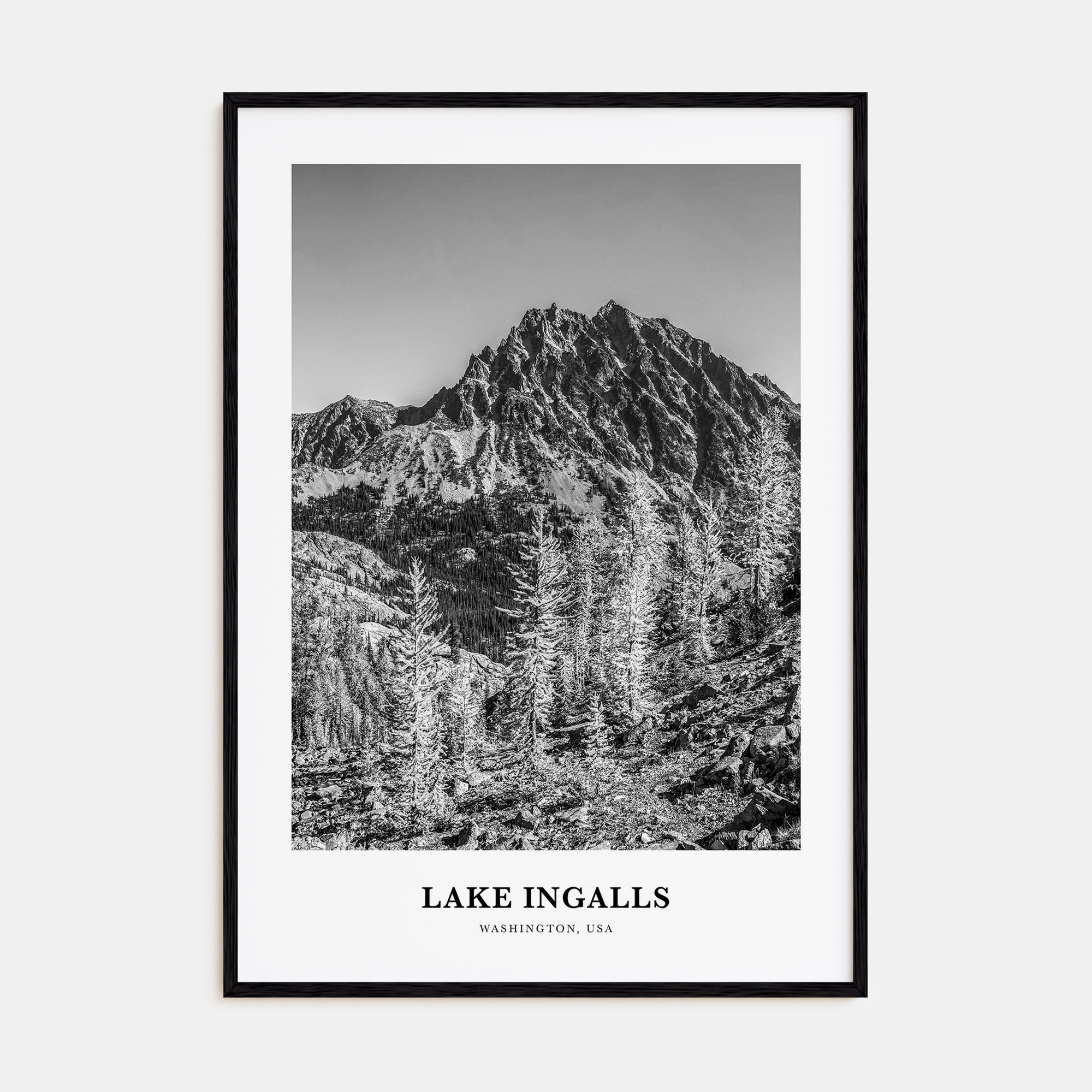 Lake Ingalls Portrait B&W Poster