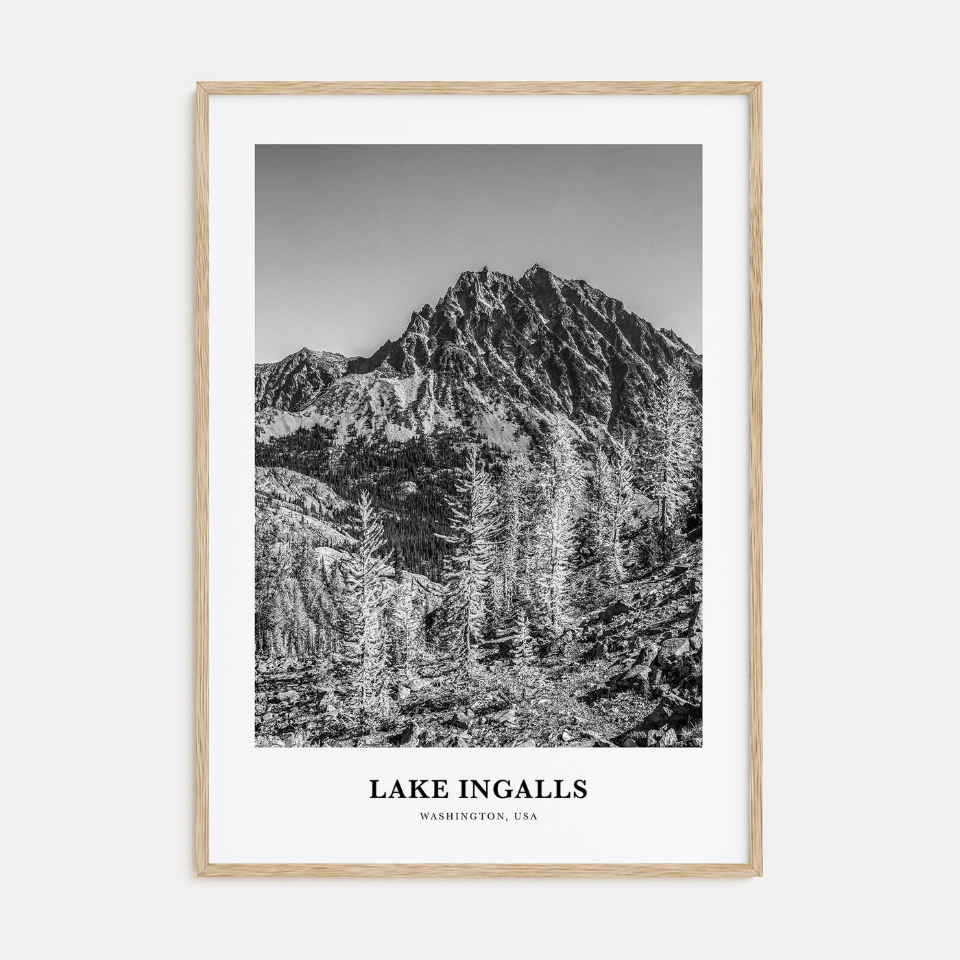 Lake Ingalls Portrait B&W Poster