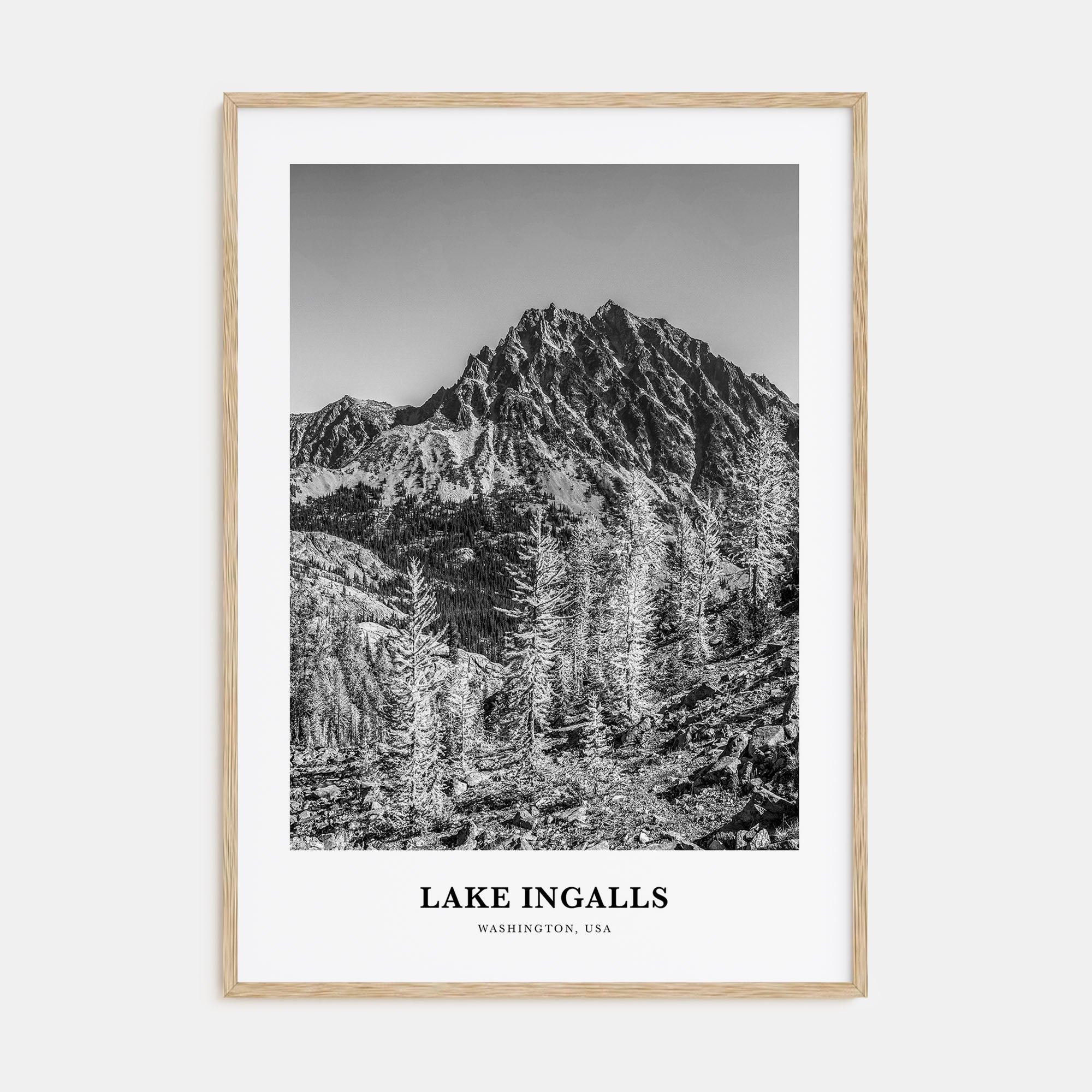 Lake Ingalls Portrait B&W Poster
