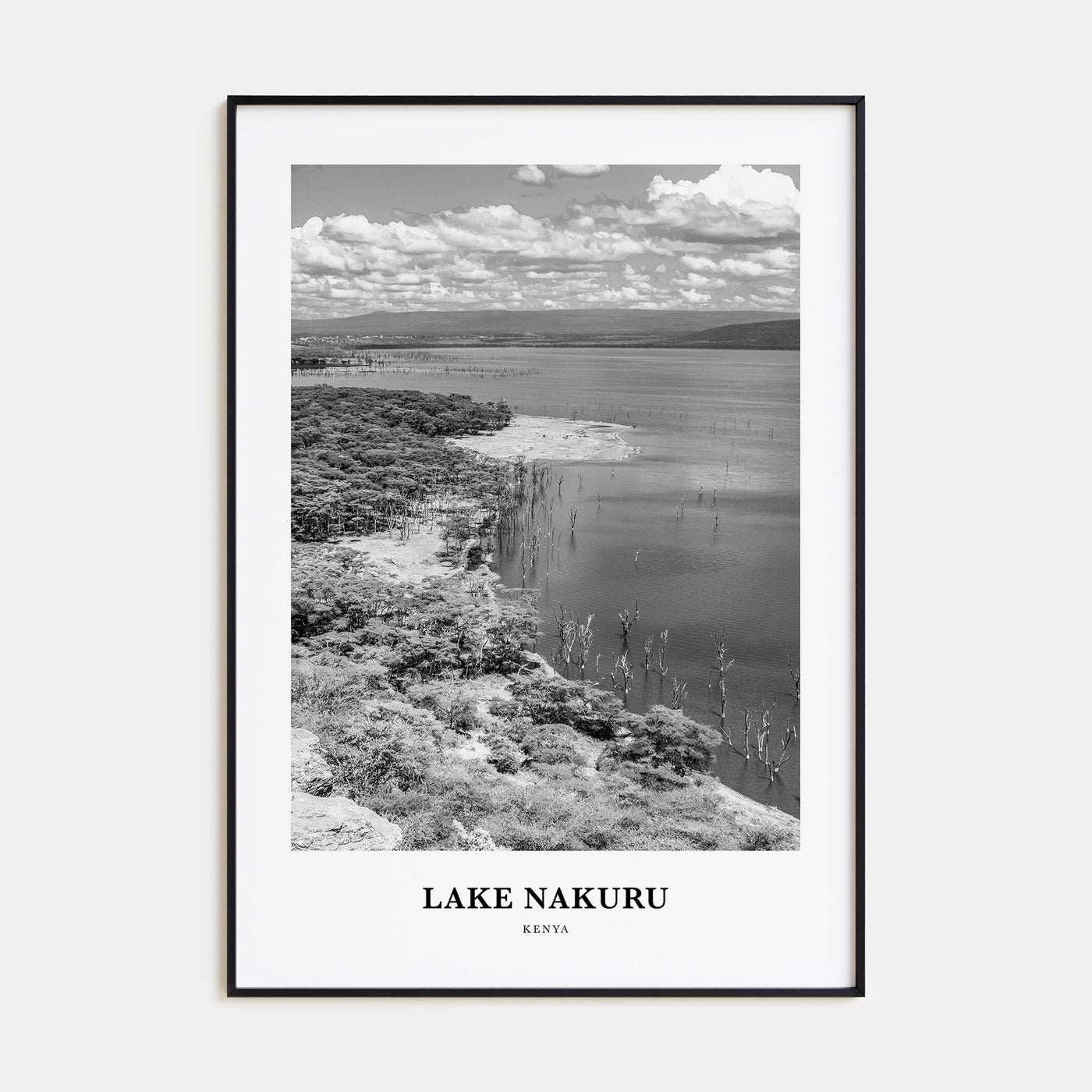 Lake Nakuru Portrait B&W Poster