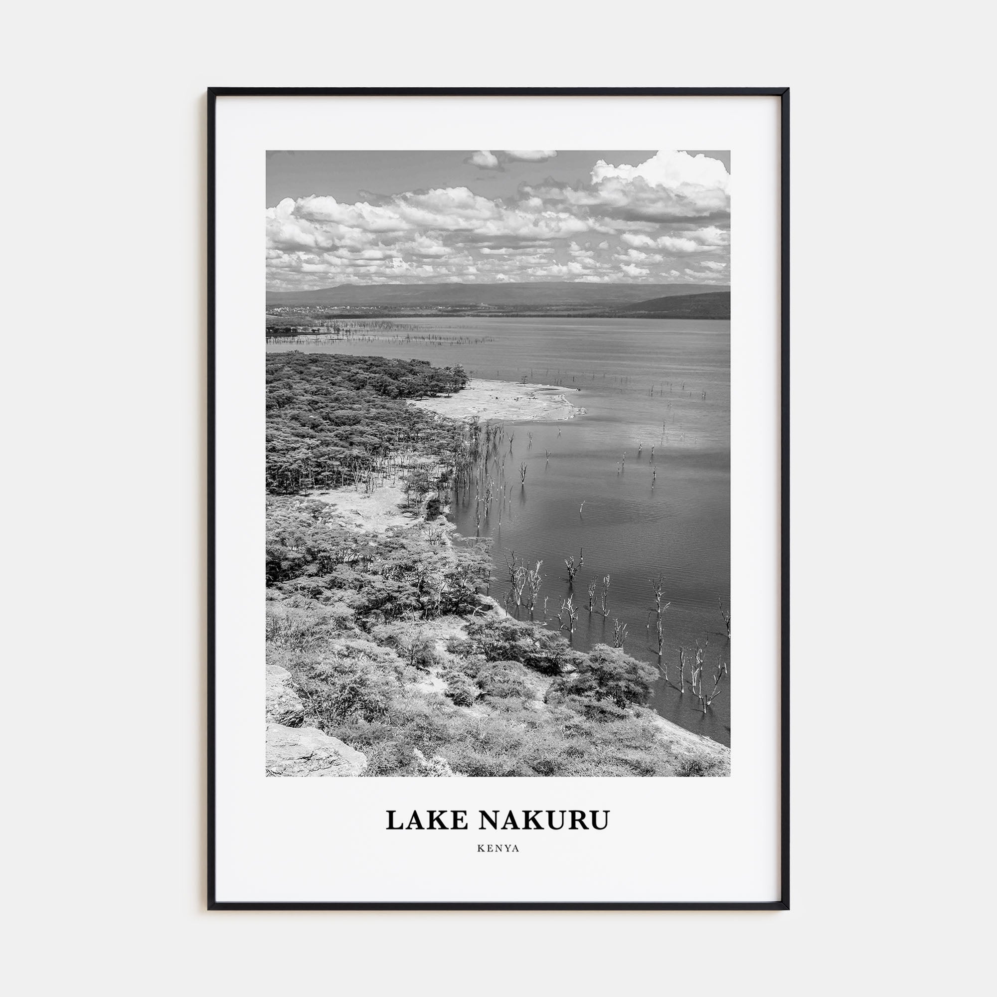 Lake Nakuru Portrait B&W Poster