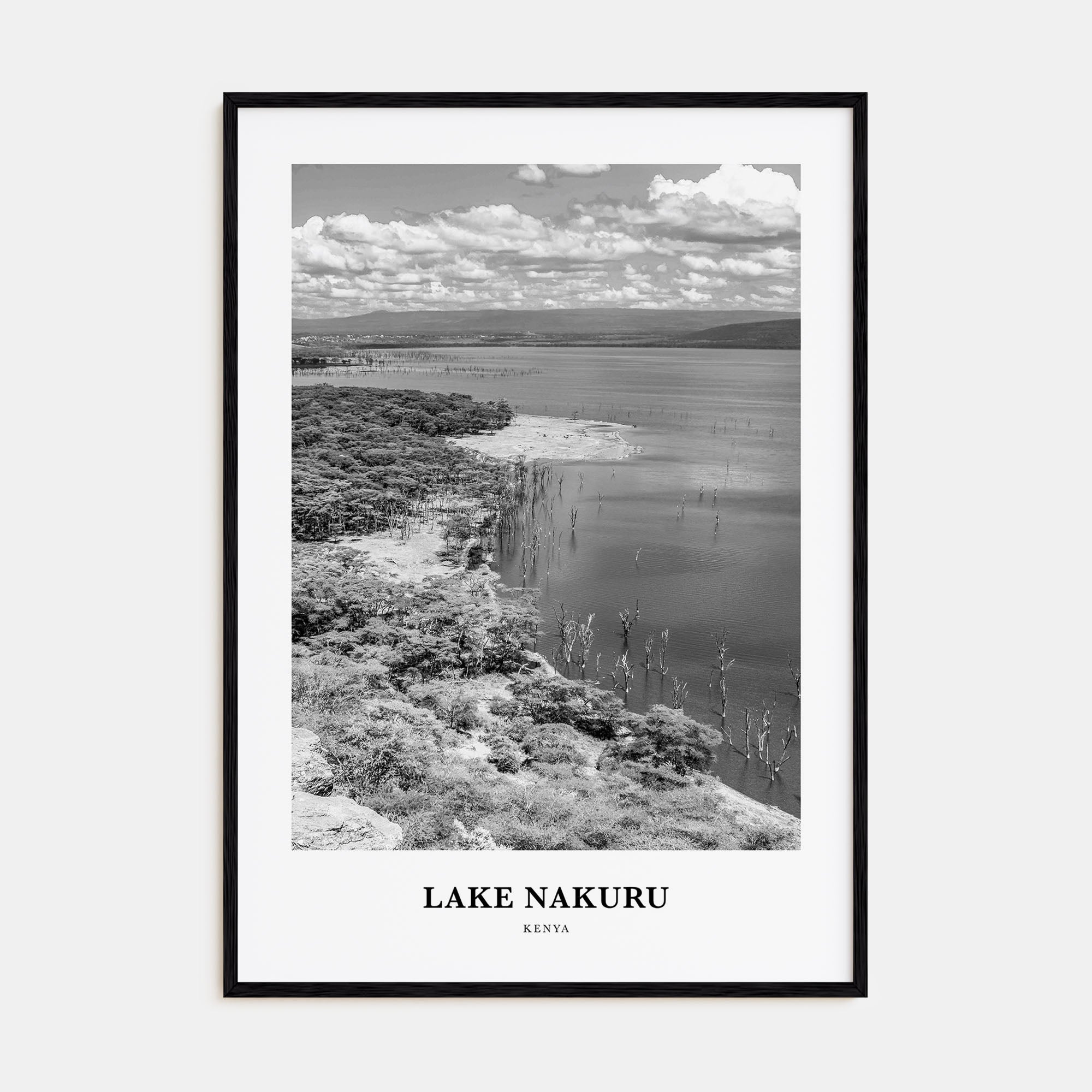 Lake Nakuru Portrait B&W Poster